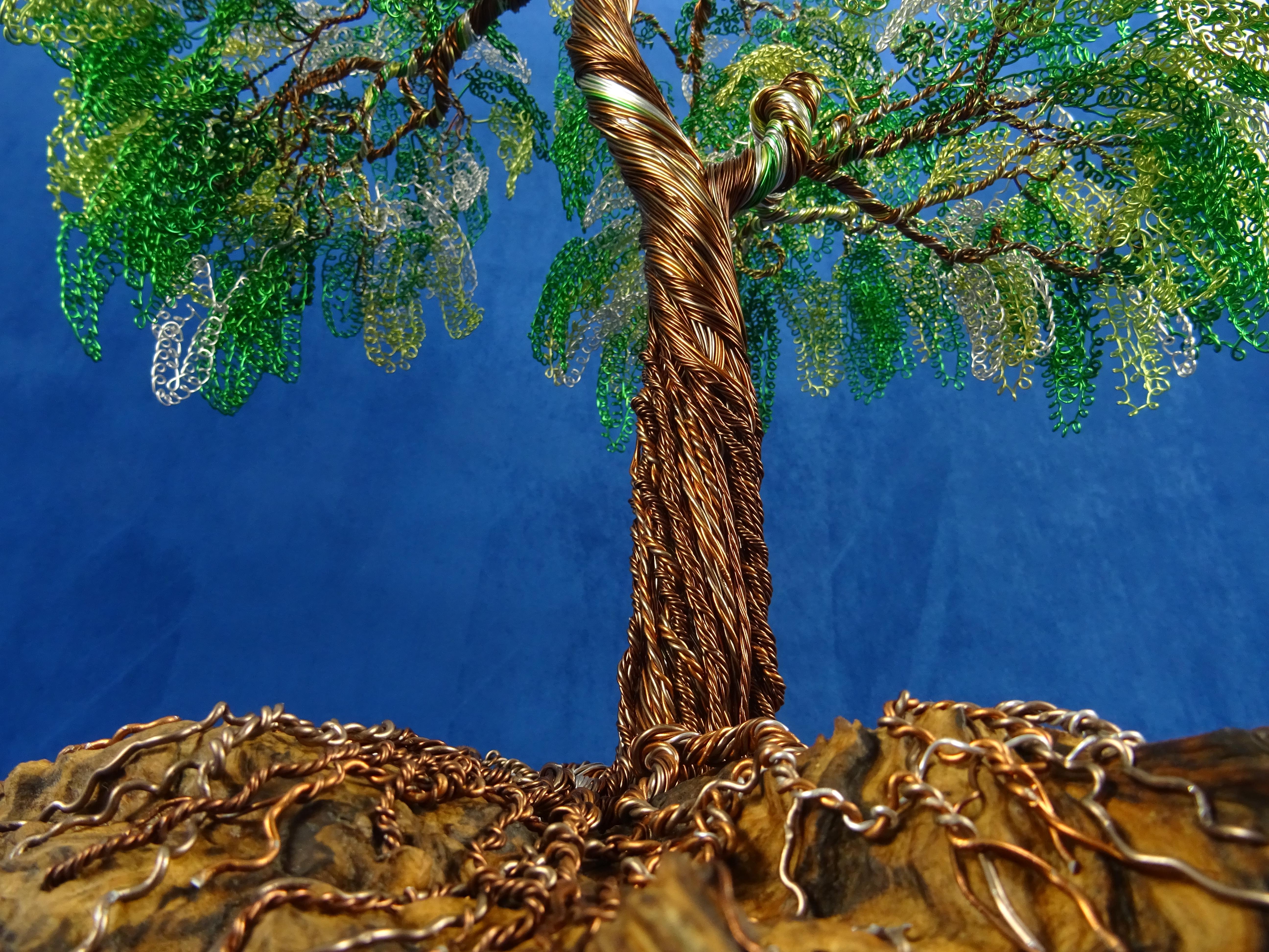 bonsai centrotavola