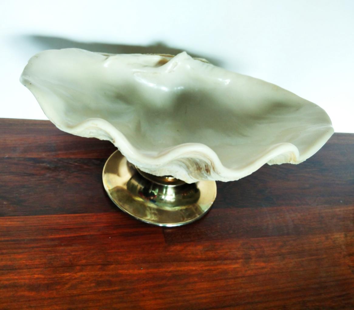 Centrepiece Large Shell with Brass 5