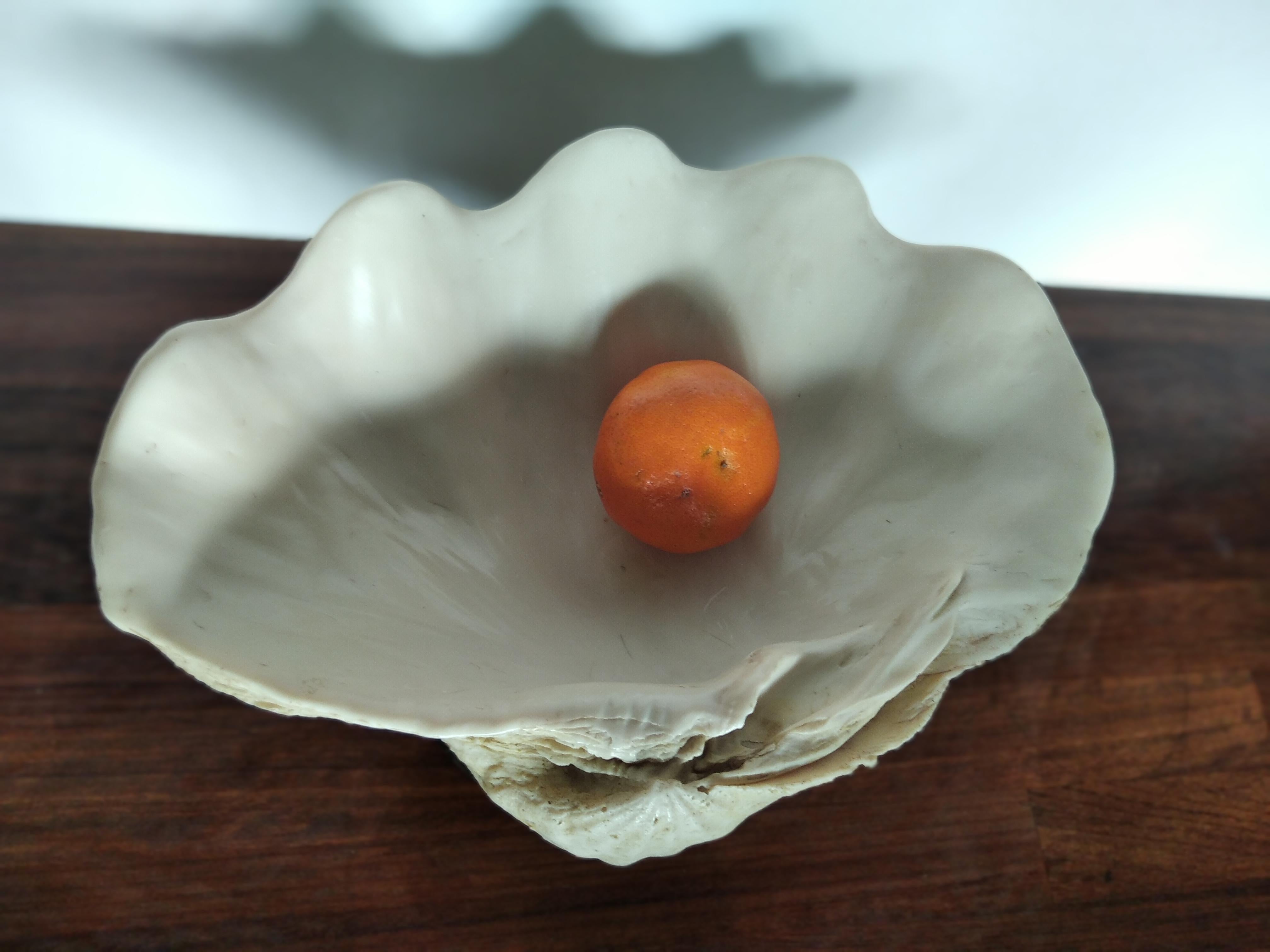Centrotavola Conchiglia grande con ottone 8
