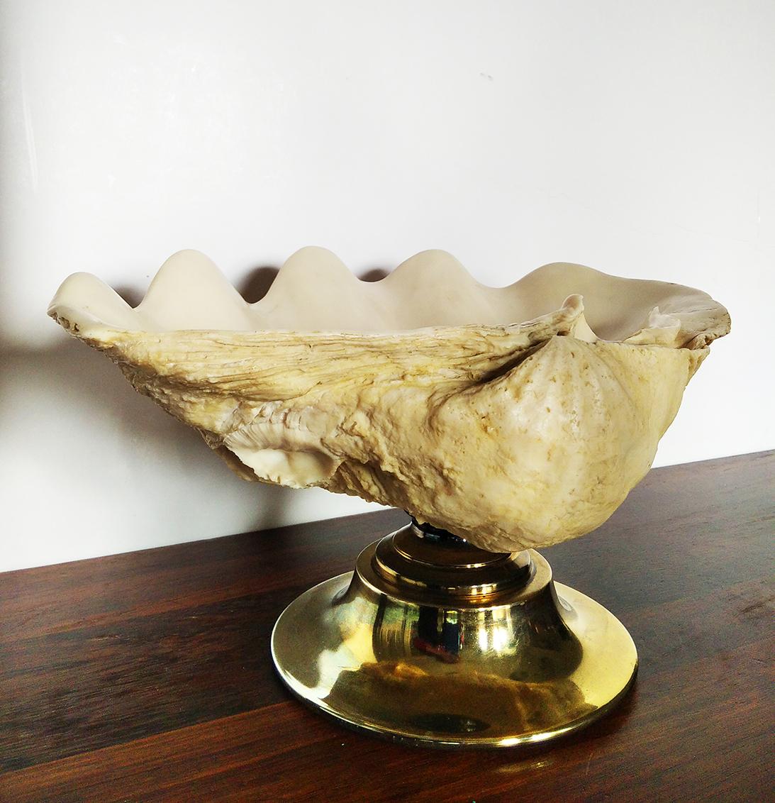 Centerpiece in the shape of a large shell with metal base, brass

Resin shell shape.
 