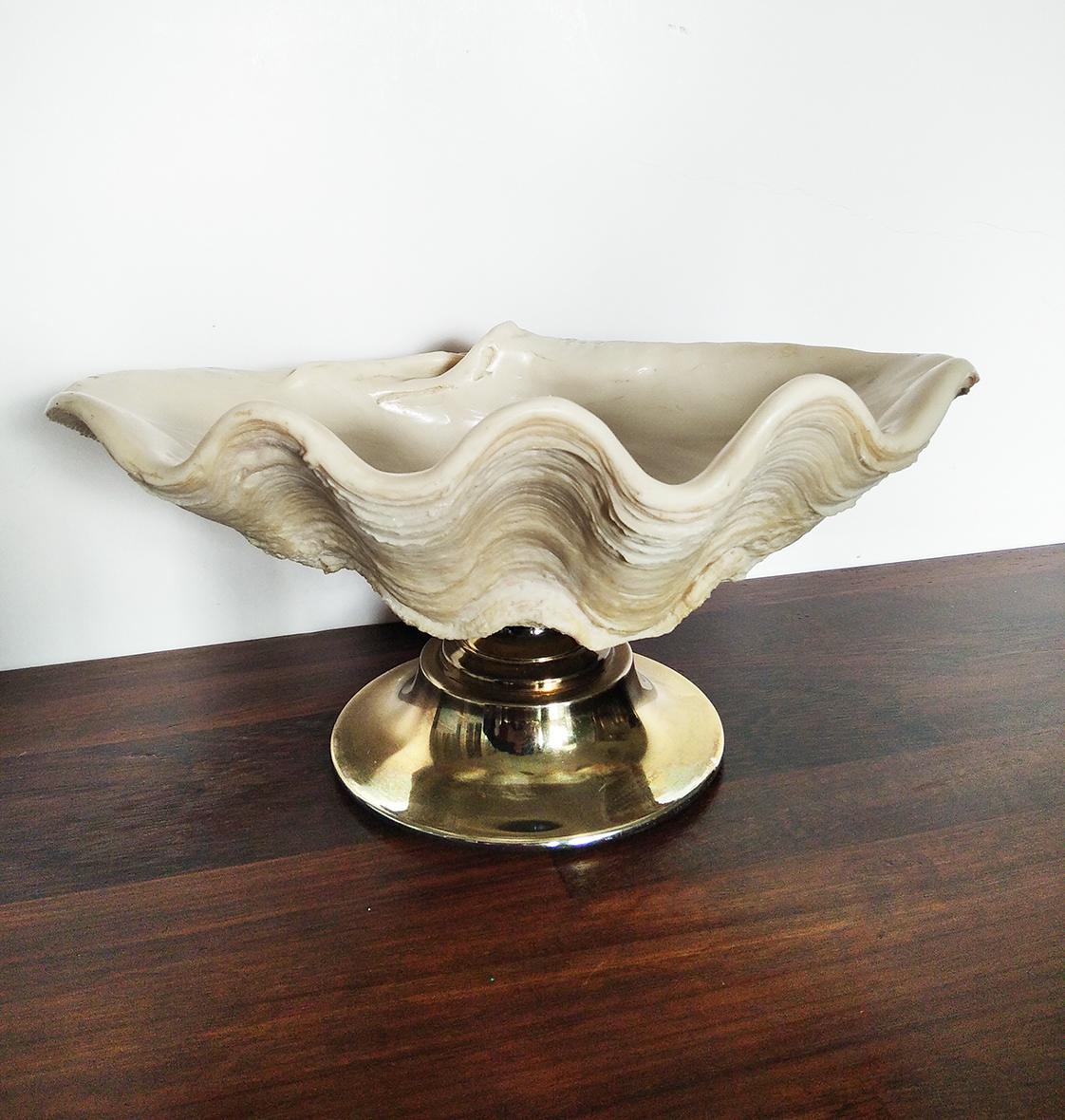 Centrepiece Large Shell with Brass 4