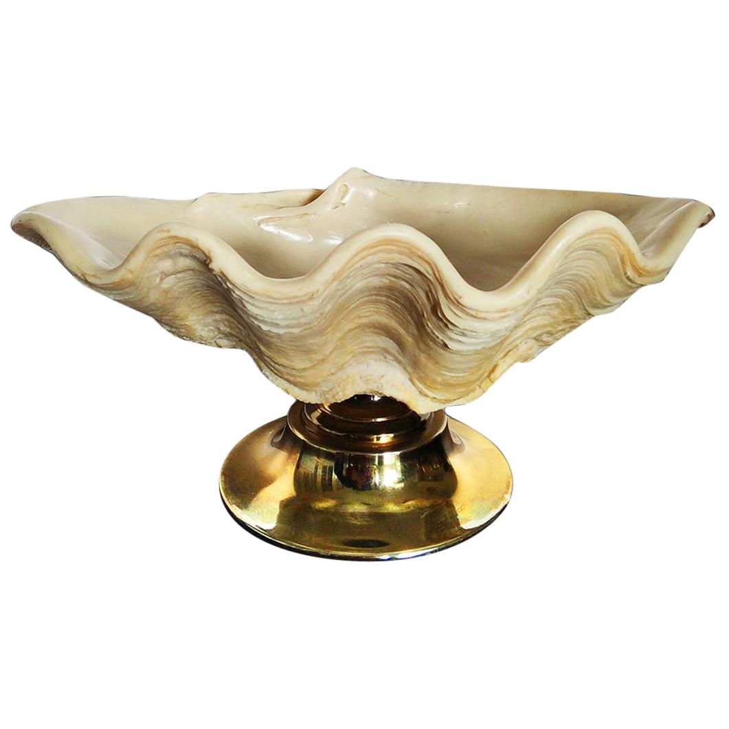 Centrepiece Large Shell with Brass