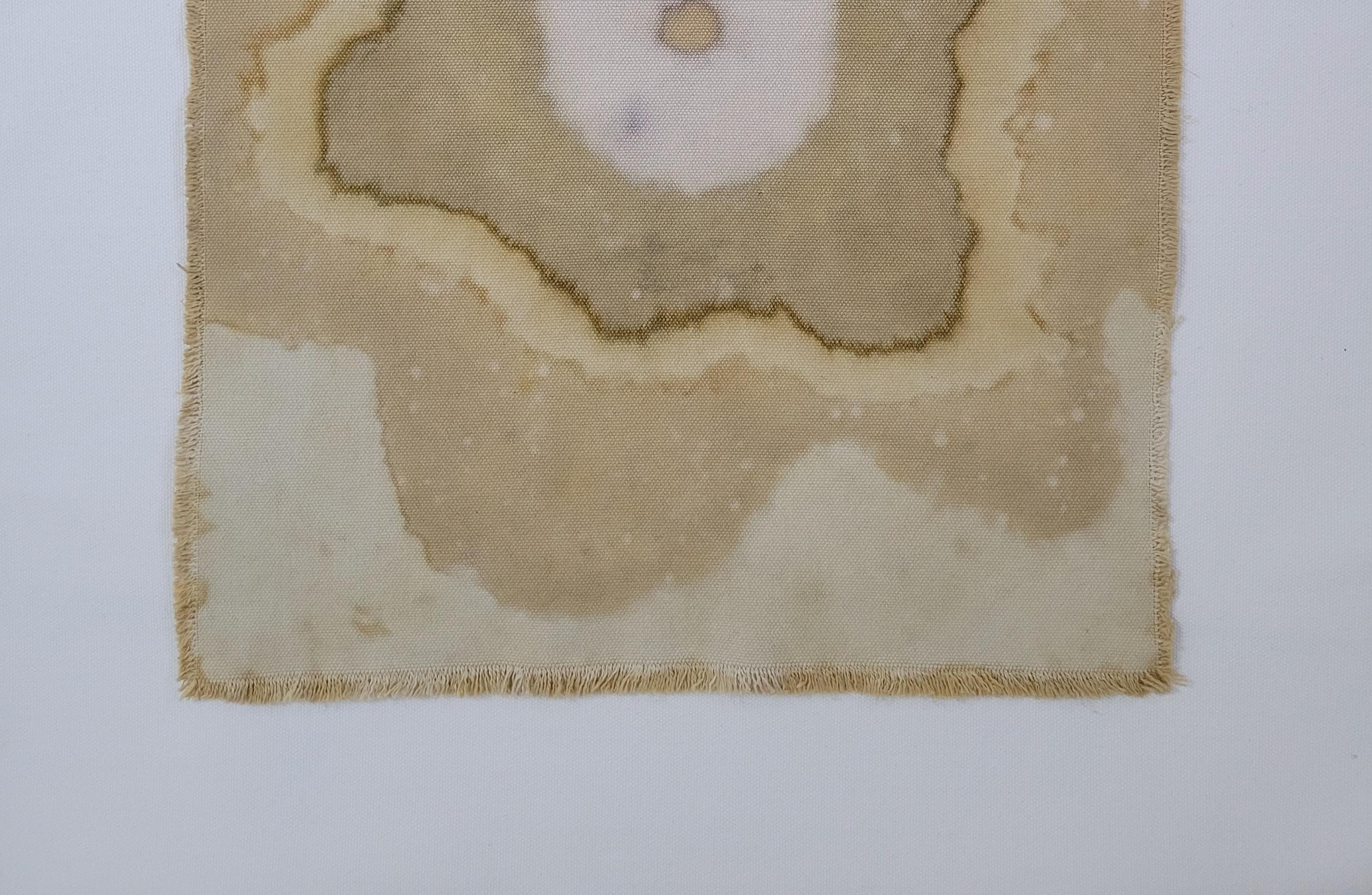 Turco CENTRAL ENERGY (16) – Plant-Dyed Botanical Art on Cotton Canvas in vendita