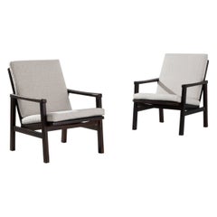 Central European Mid-Century Modern Armchairs, A Pair
