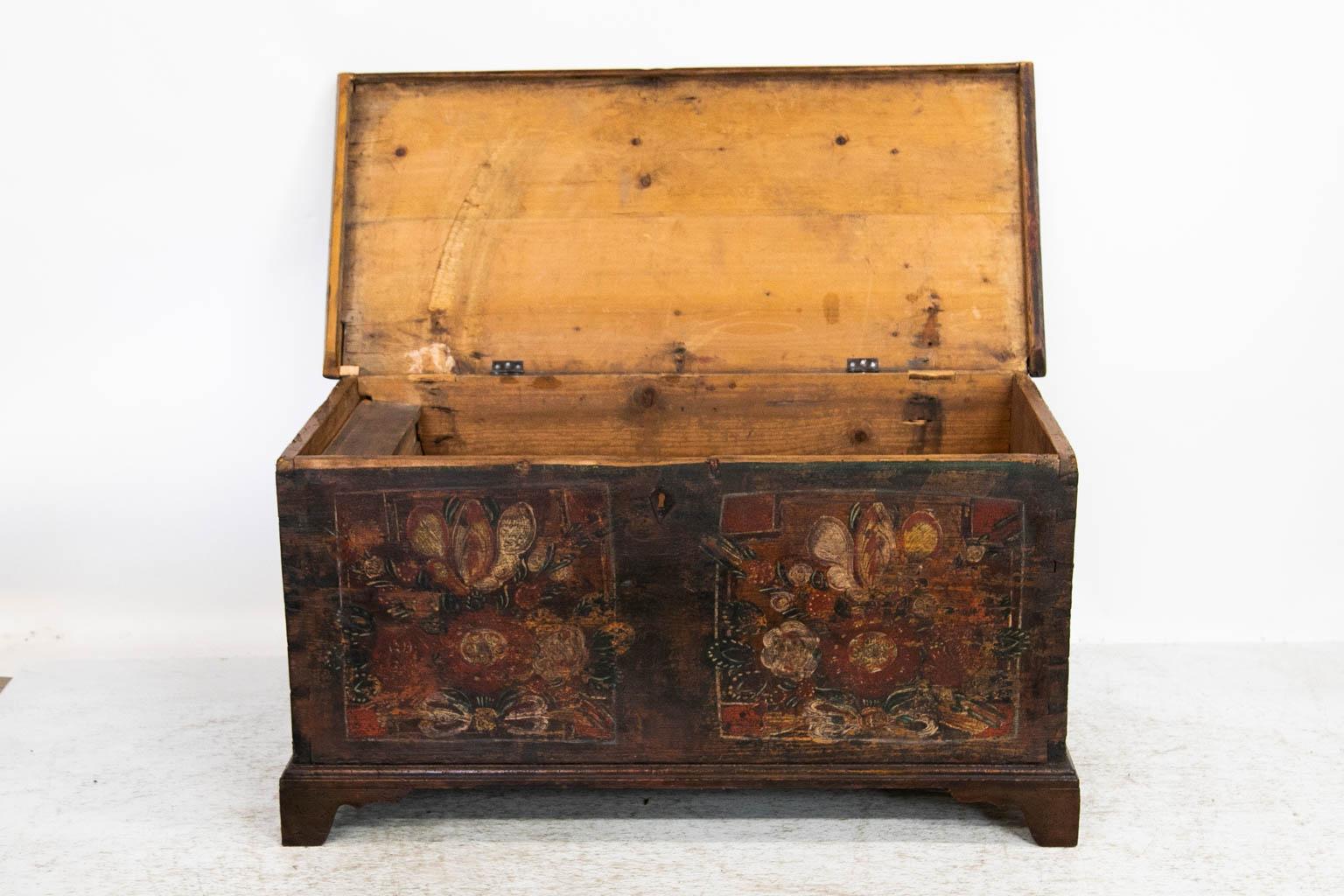 Hand-Painted Central European Painted Pine Blanket Chest  For Sale