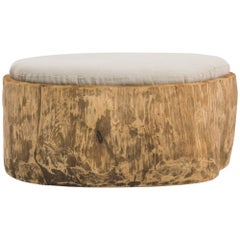 Central European Tree Trunk with Upholstered Seat
