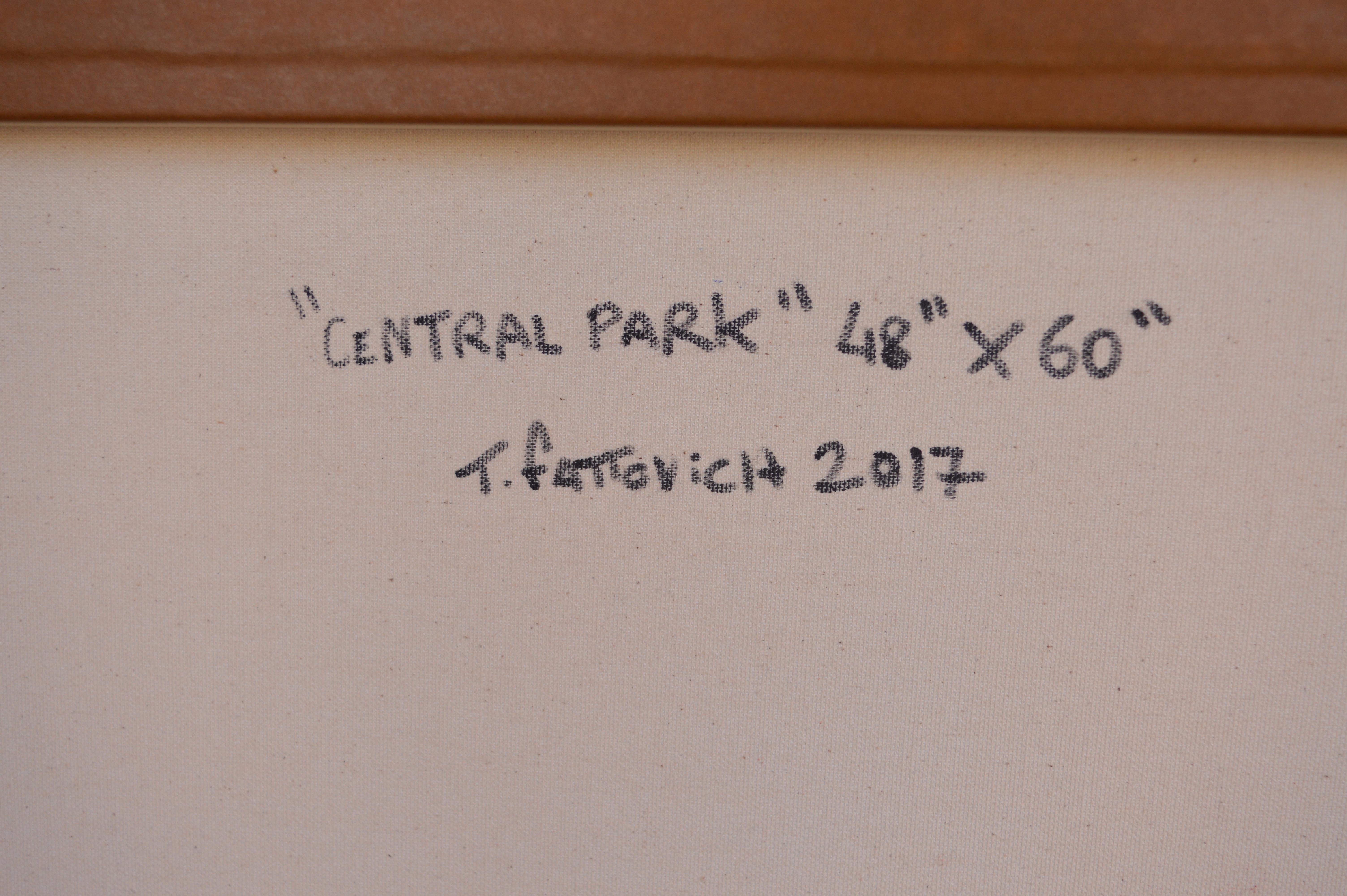 Central Park by Tommaso Fattovich 3