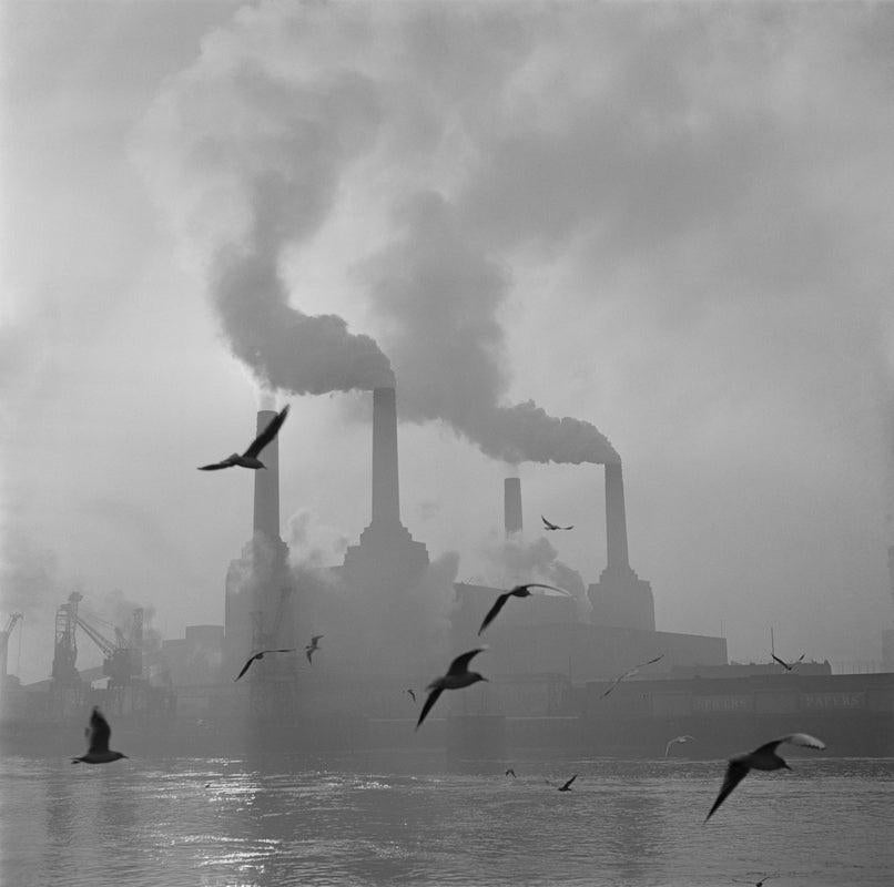 "The Big Smoke" by Central Press

2nd February 1971: Seagulls drift above the waters of the Thames while in the background, the billowing chimneys of Battersea Power Station fill the sky.

Unframed
Paper Size: 30" x 30'' (inches)
Printed 2022