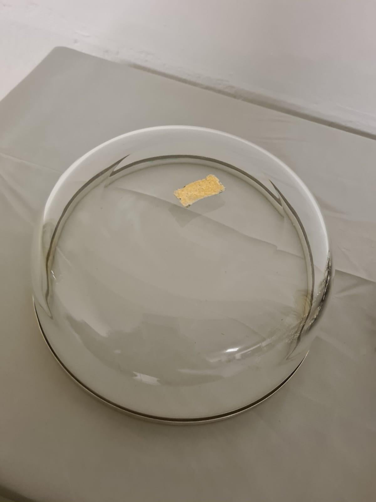 Centre de table avec couvercle en argent 800 en vente 11