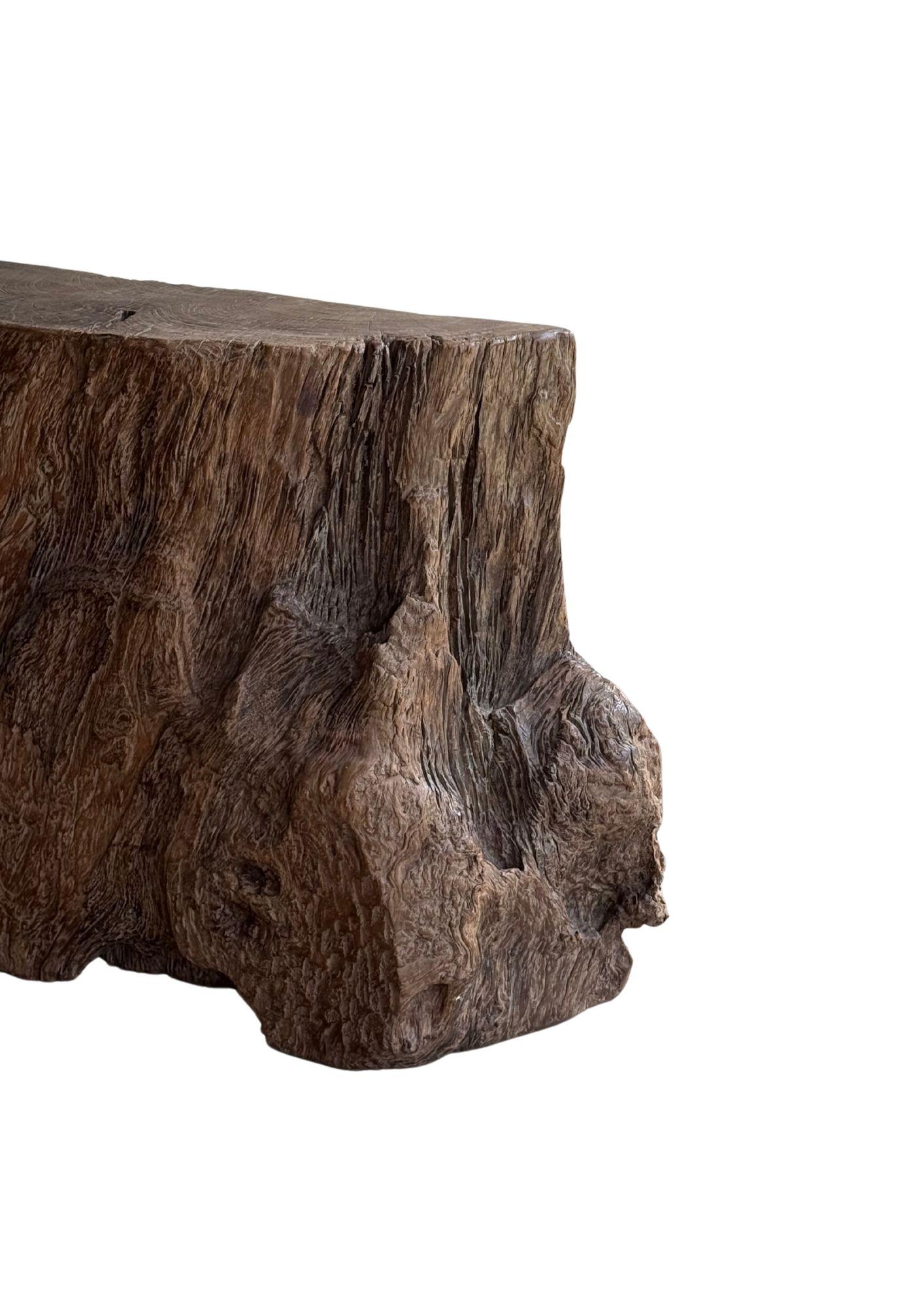 Jahrhundert-vergrabener Teakholz-Sockel aus dem Regenwald von Sumatra, modern organisch im Angebot 2