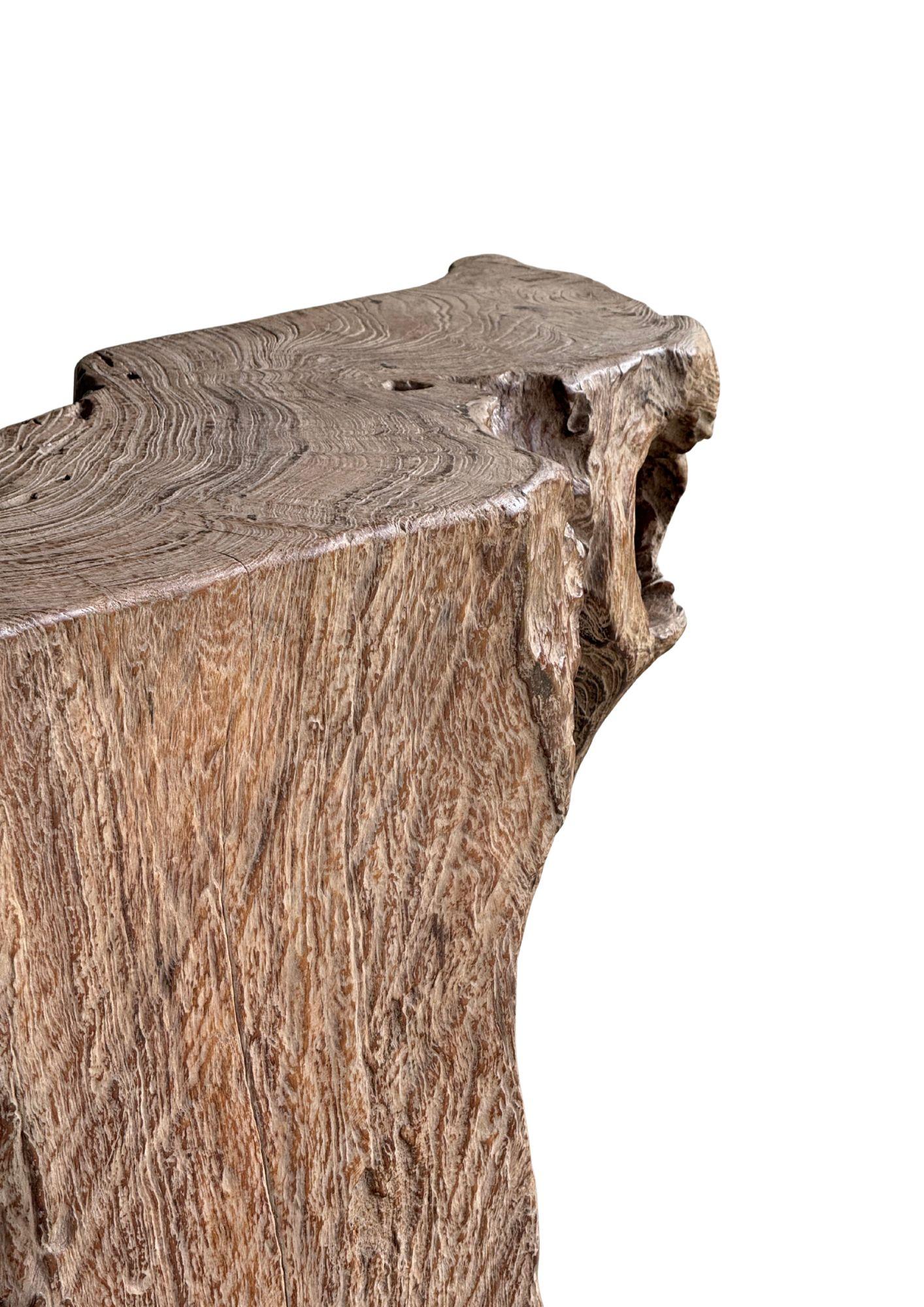 Jahrhundert-vergrabener Teakholz-Sockel aus dem Regenwald von Sumatra, modern organisch im Angebot 2