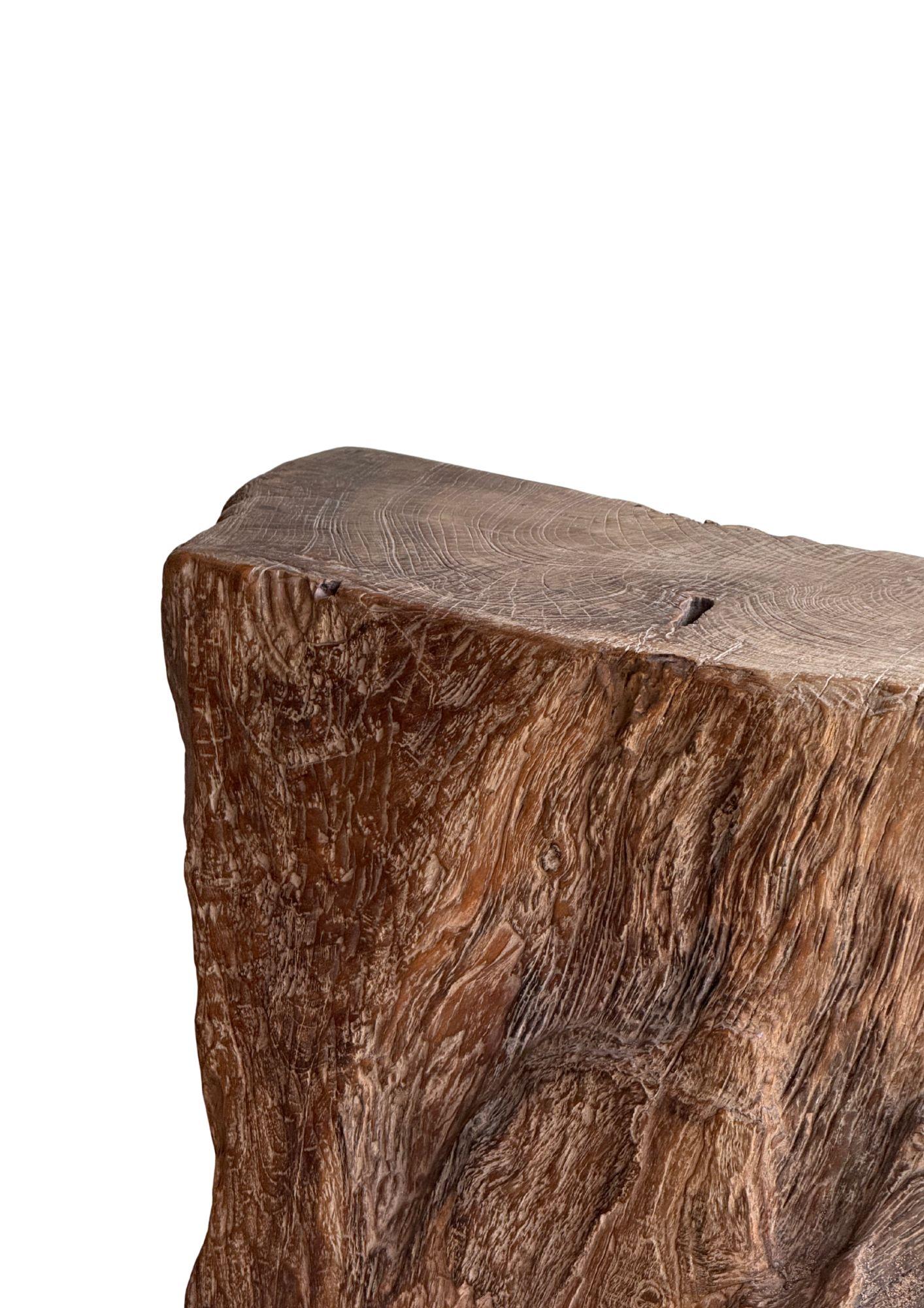 Jahrhundert-vergrabener Teakholz-Sockel aus dem Regenwald von Sumatra, modern organisch im Angebot 3