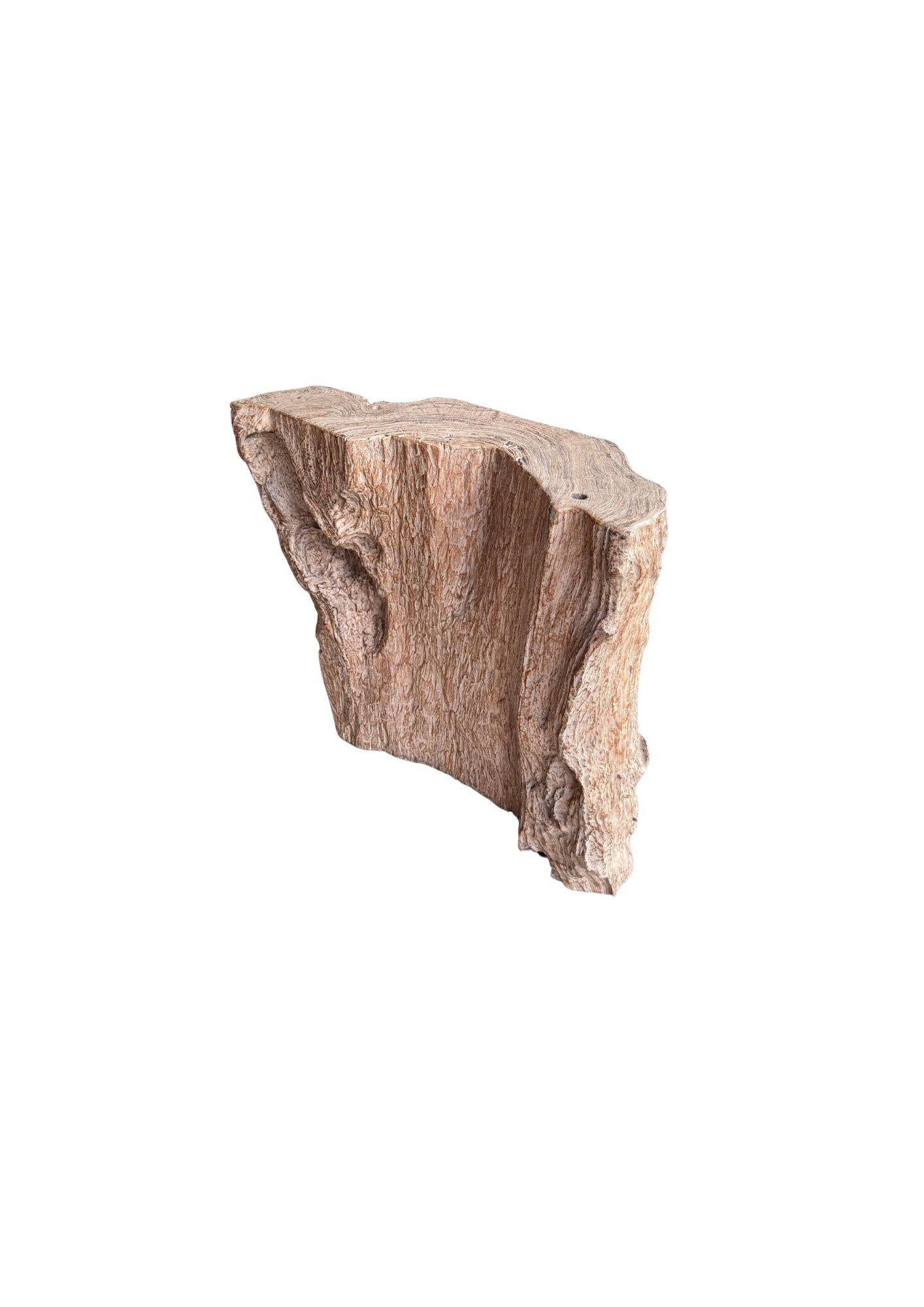 Jahrhundert-vergrabener Teakholz-Sockel aus dem Regenwald von Sumatra, modern organisch im Angebot 3