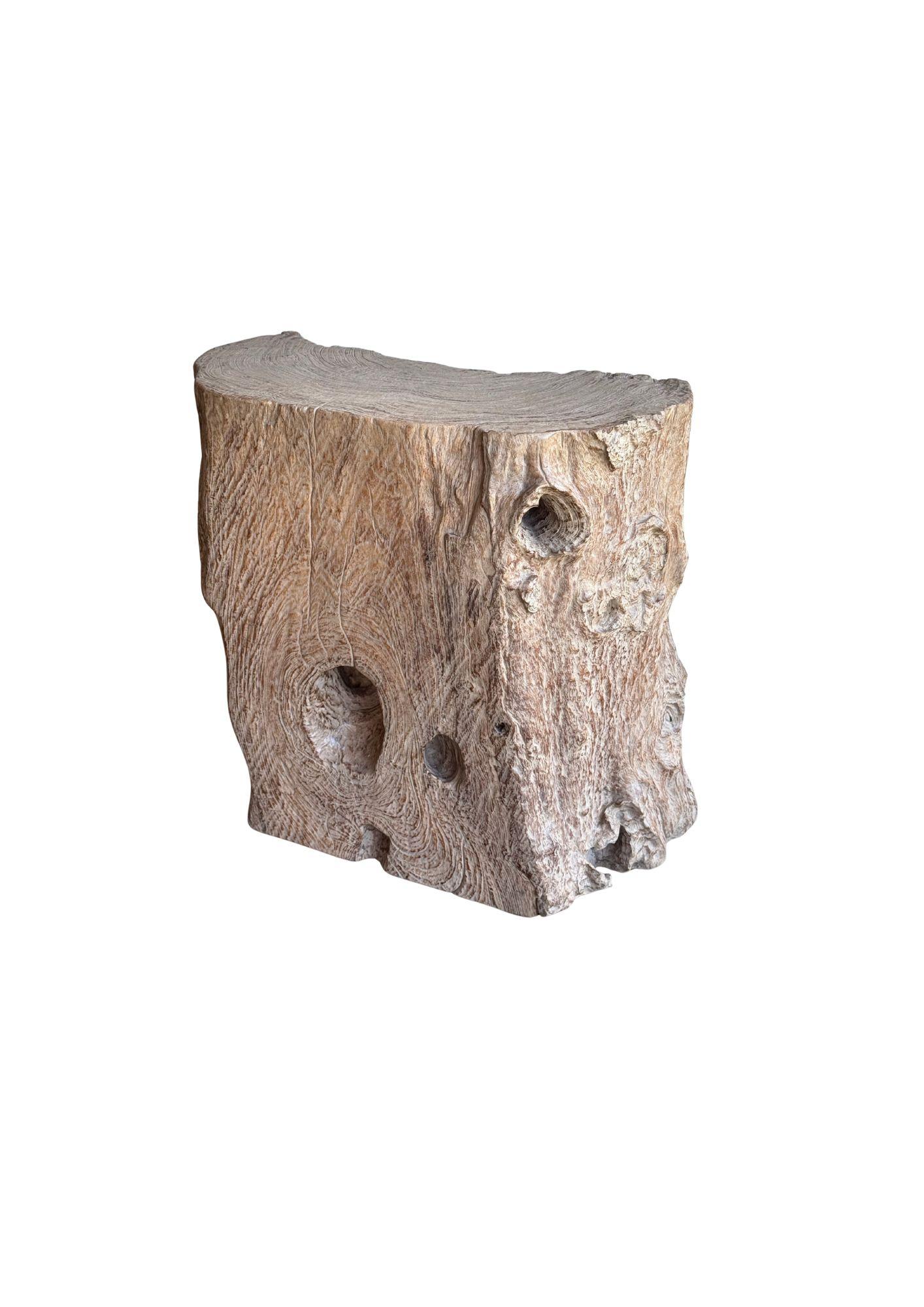 Jahrhundert-vergrabener Teakholz-Sockel aus dem Regenwald von Sumatra, modern organisch im Angebot 4