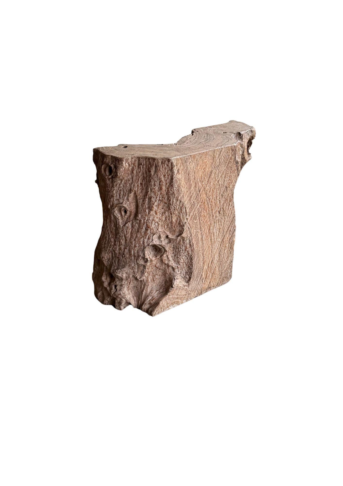 Jahrhundert-vergrabener Teakholz-Sockel aus dem Regenwald von Sumatra, modern organisch im Angebot 5