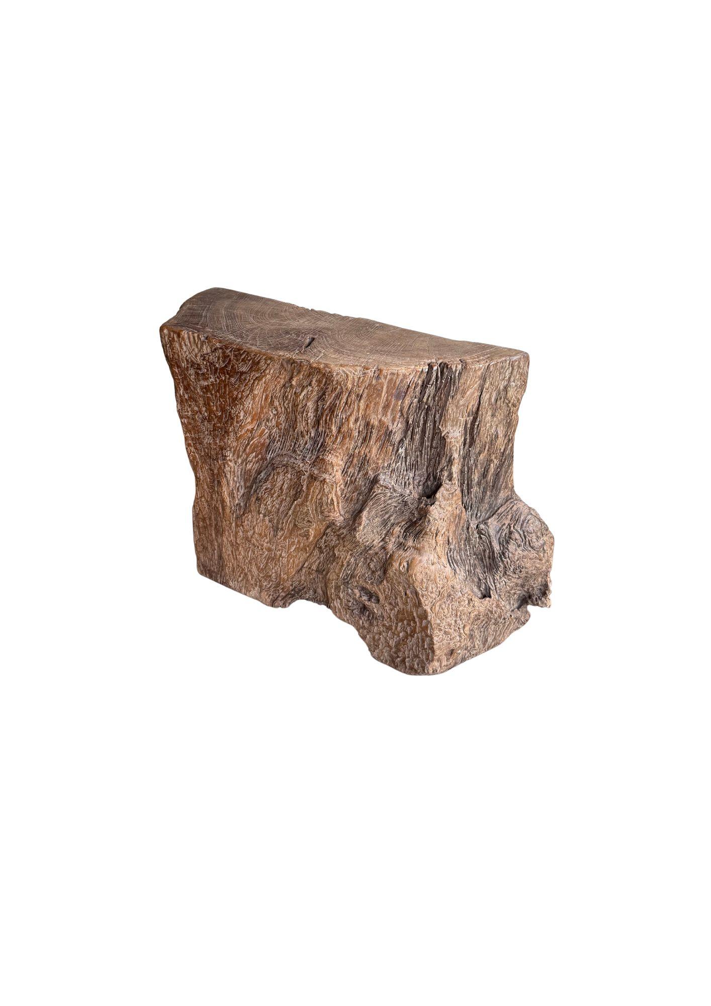 Jahrhundert-vergrabener Teakholz-Sockel aus dem Regenwald von Sumatra, modern organisch (Indonesisch) im Angebot