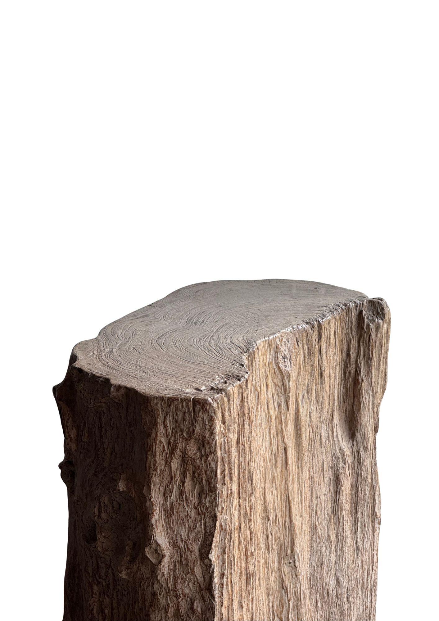 Jahrhundert-vergrabener Teakholz-Sockel aus dem Regenwald von Sumatra, modern organisch (20. Jahrhundert) im Angebot