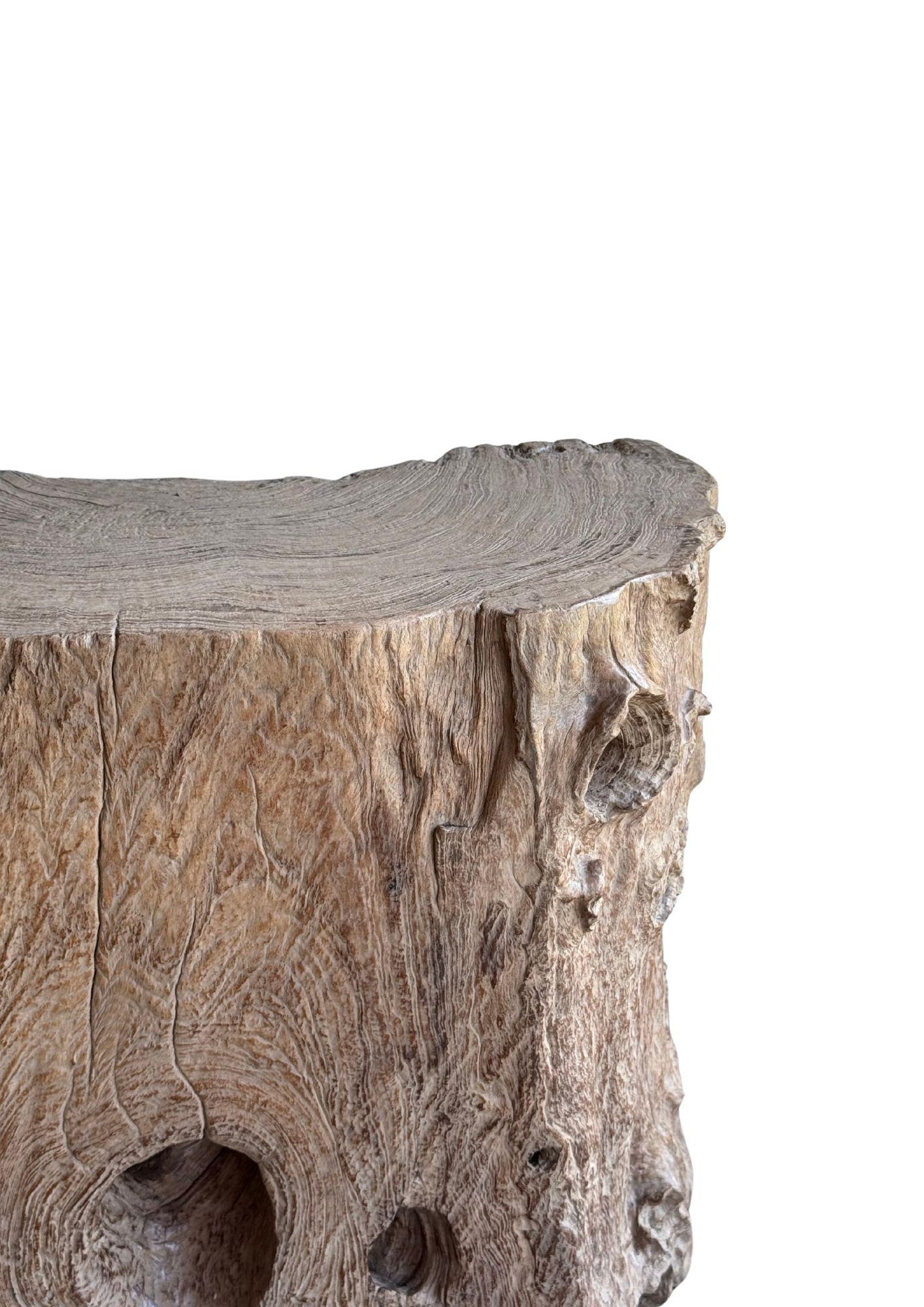 Jahrhundert-vergrabener Teakholz-Sockel aus dem Regenwald von Sumatra, modern organisch (Holz) im Angebot