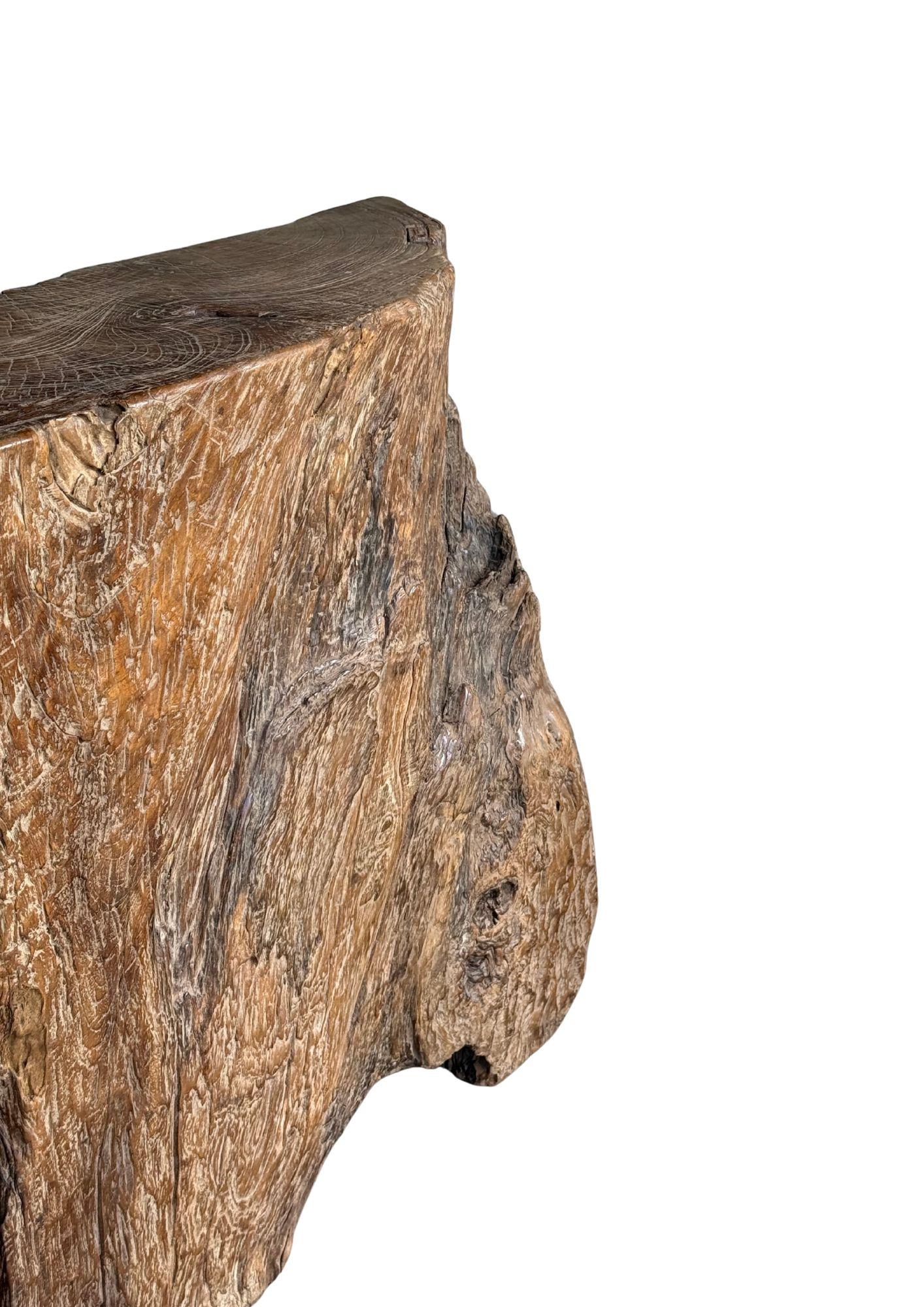 Jahrhundert-vergrabener Teakholz-Sockel aus dem Regenwald von Sumatra, modern organisch (Holz) im Angebot