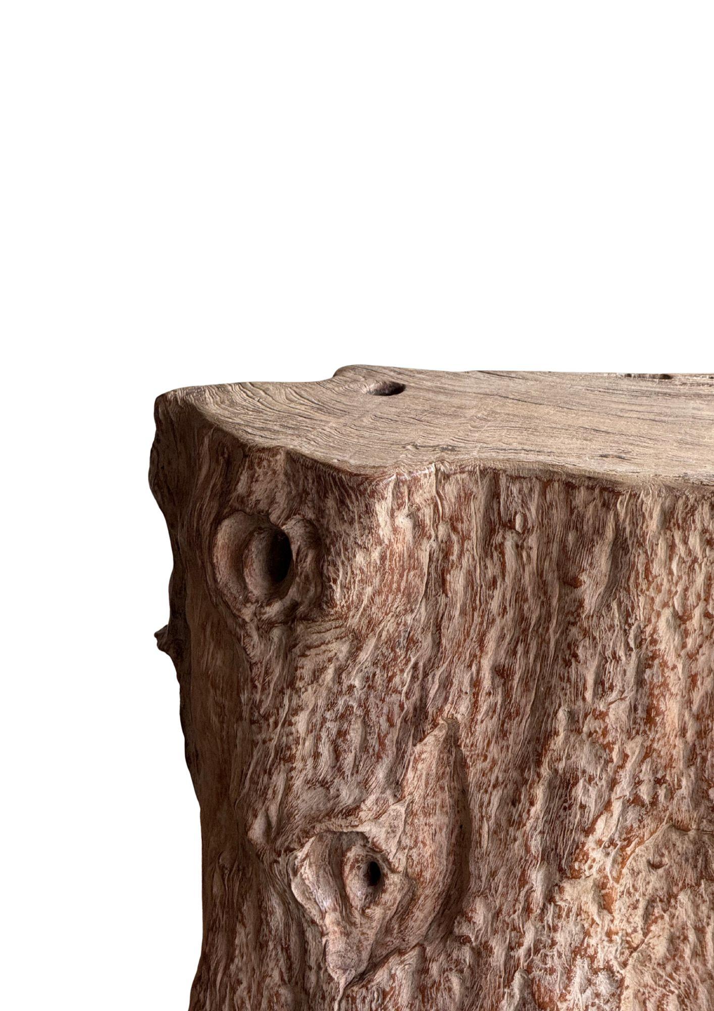 Jahrhundert-vergrabener Teakholz-Sockel aus dem Regenwald von Sumatra, modern organisch (Holz) im Angebot