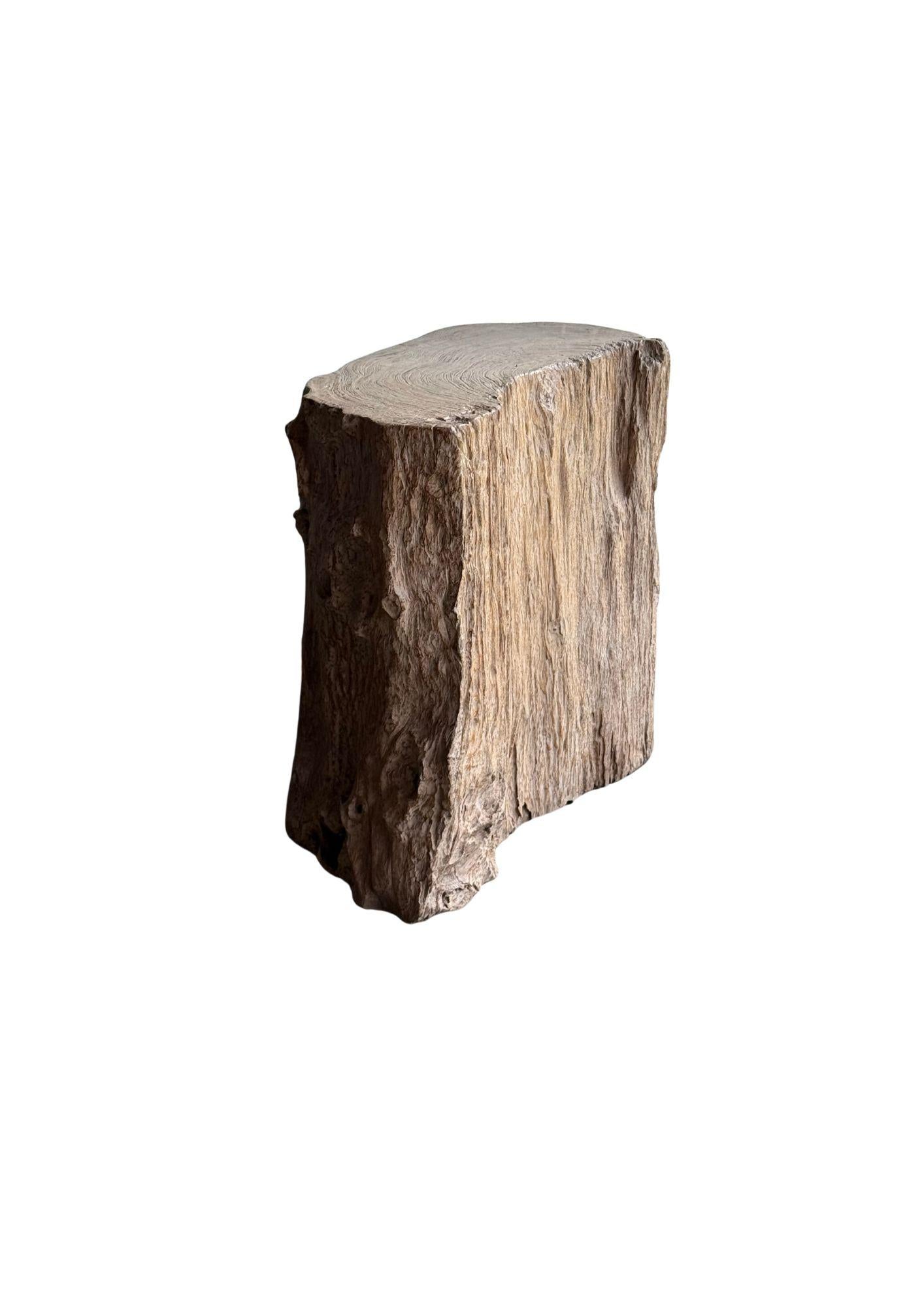 Jahrhundert-vergrabener Teakholz-Sockel aus dem Regenwald von Sumatra, modern organisch im Angebot 1