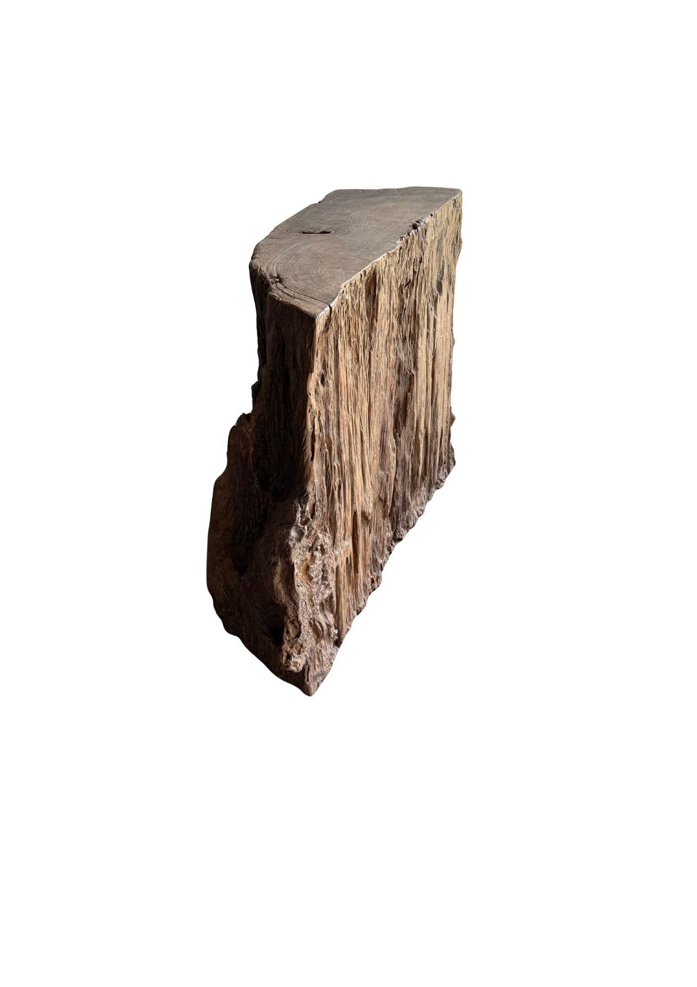 Jahrhundert-vergrabener Teakholz-Sockel aus dem Regenwald von Sumatra, modern organisch im Angebot 1