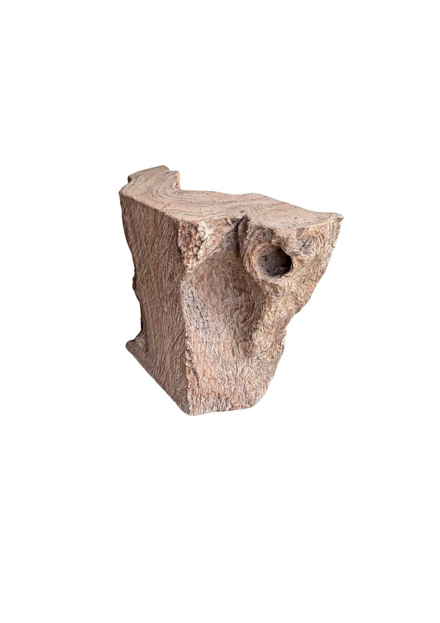 Jahrhundert-vergrabener Teakholz-Sockel aus dem Regenwald von Sumatra, modern organisch im Angebot 1