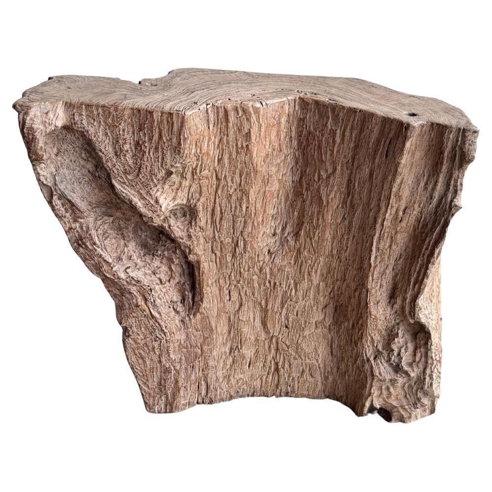 Jahrhundert-vergrabener Teakholz-Sockel aus dem Regenwald von Sumatra, modern organisch