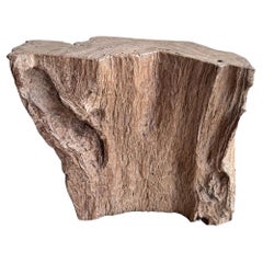 Piedistalli moderni organici