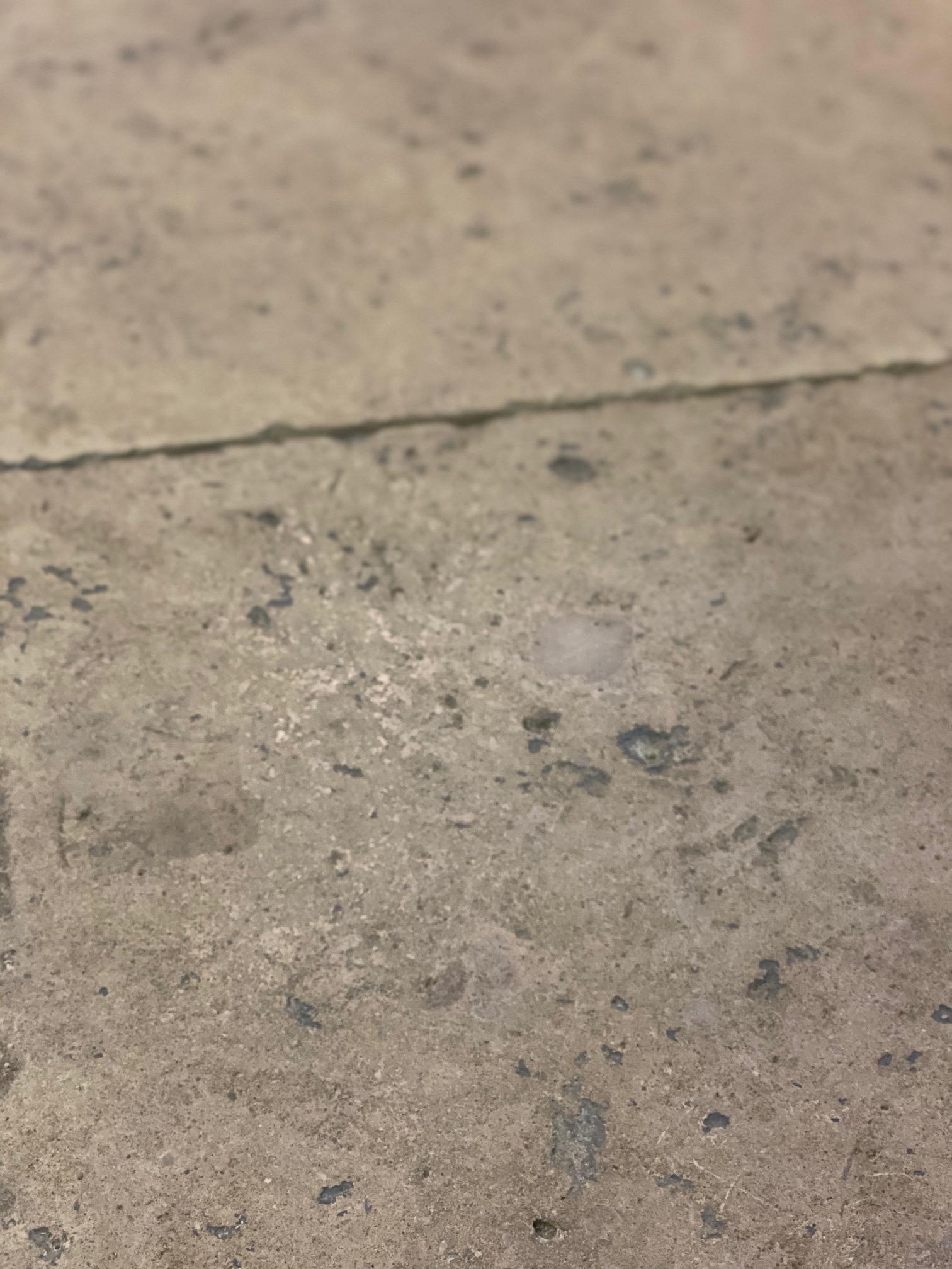 Century Davallier Cathedral Flooring In Good Condition In Dallas, TX