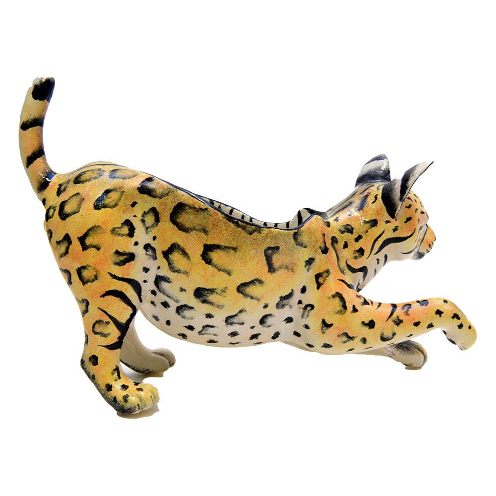 Sudafricano Bobcat americano in ceramica  Ciotola di arachidi, fatta a mano in Sudafrica