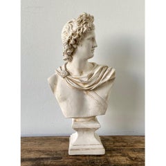 Ceramic Apollo Belvedere Bust Sculpture