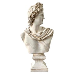 Ceramic Apollo Belvedere Bust Sculpture