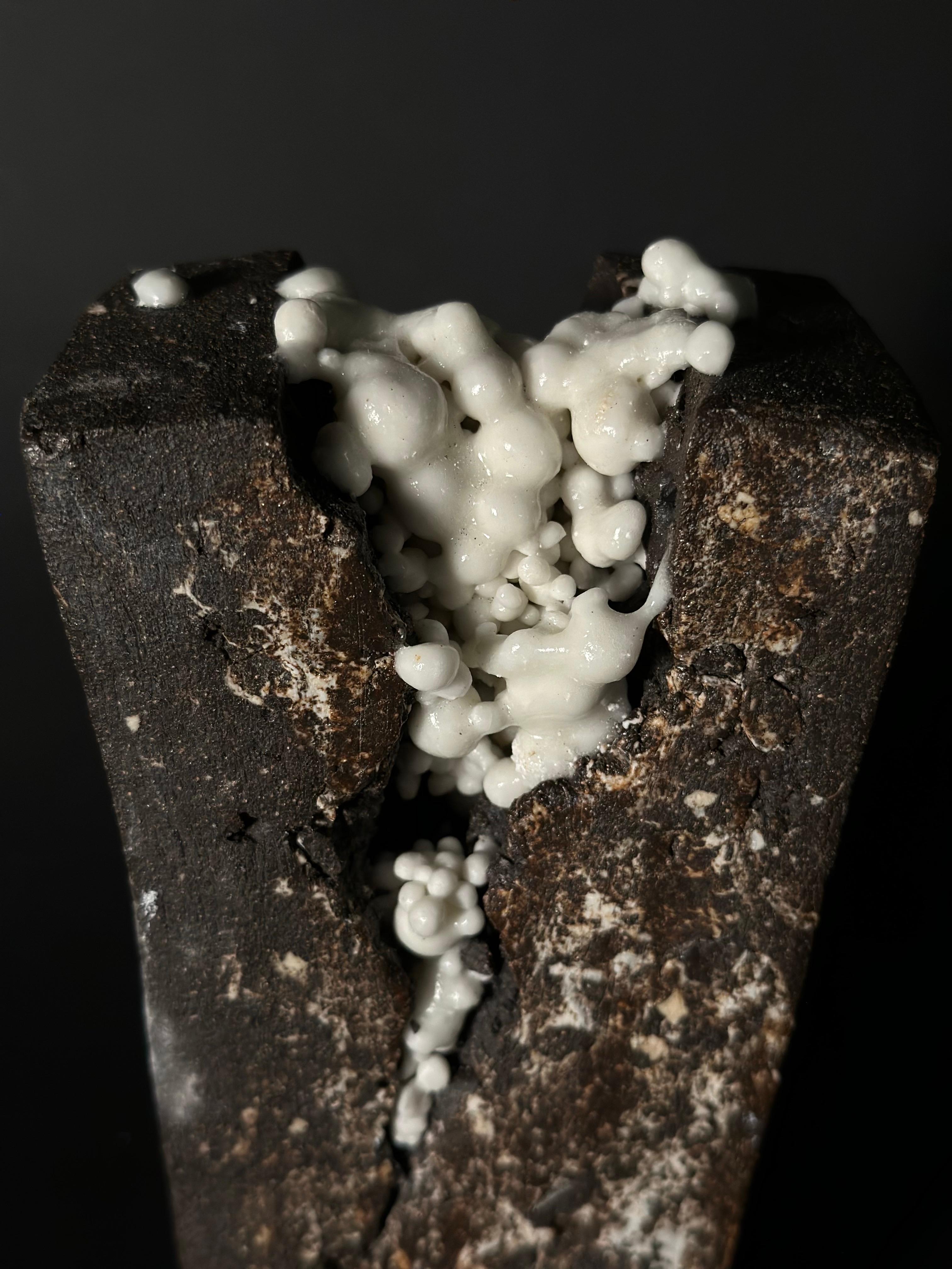 The little spheres of glaze are reminiscent of the goo in the Scavengers Reign series. The goo, indigenous to the planet, gradually infiltrated the mechanical components of a robot, making the robot not only self-aware but also compassionate and
