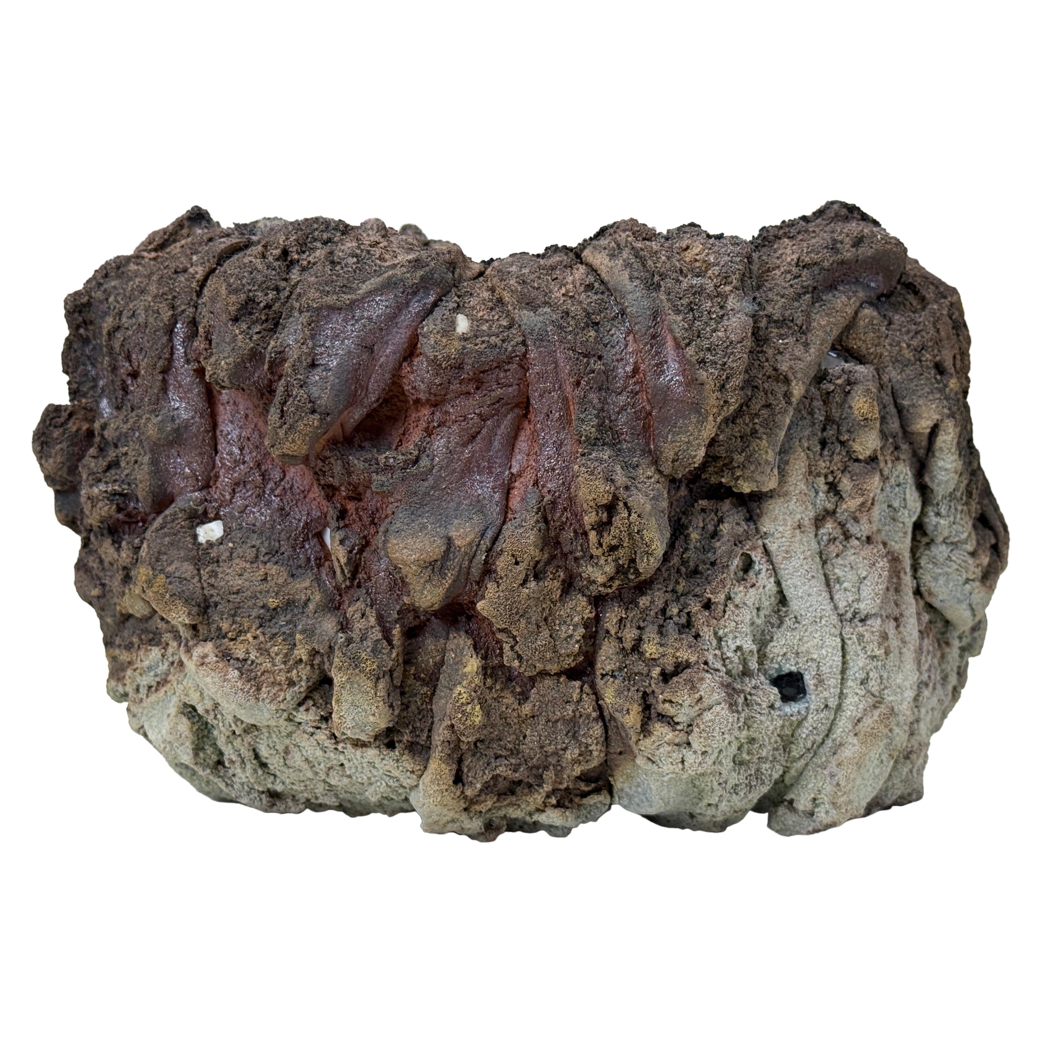 Ceramic Bowl by Rob Sieminski.