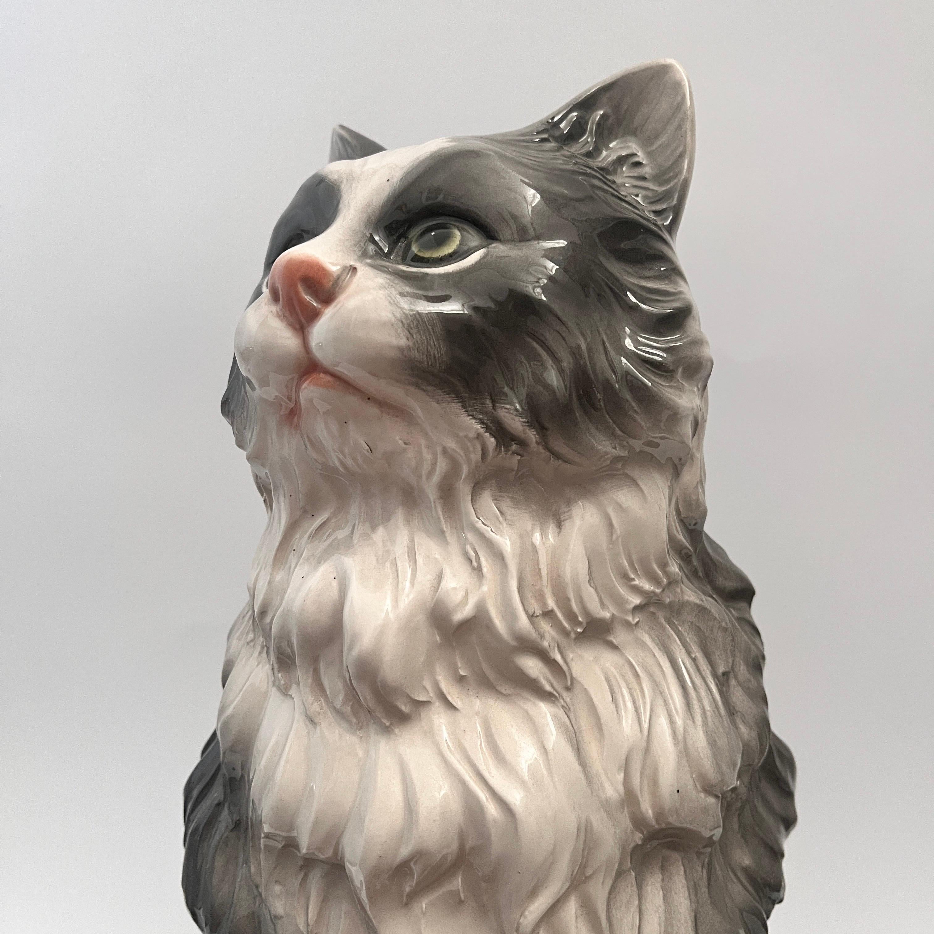 Gato de cerámica de Ceramiche Boxer Cerámico en venta