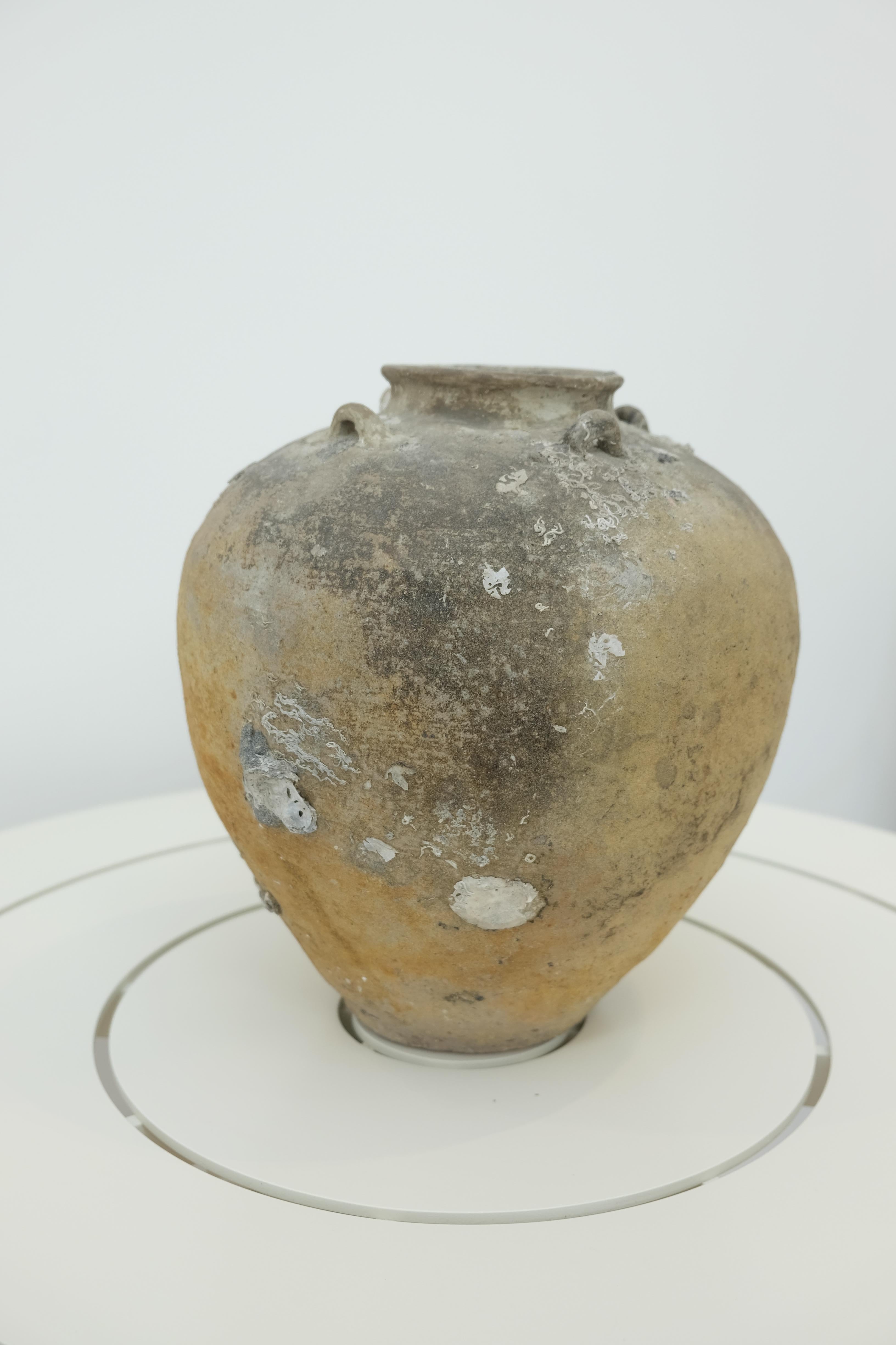 Ceramic Chinese Export Tsung Shipwreck Pot circa 1100, with a few large barnacles attached to its surface. Wonderful varied patina and encrustations. Perfect on a table top.