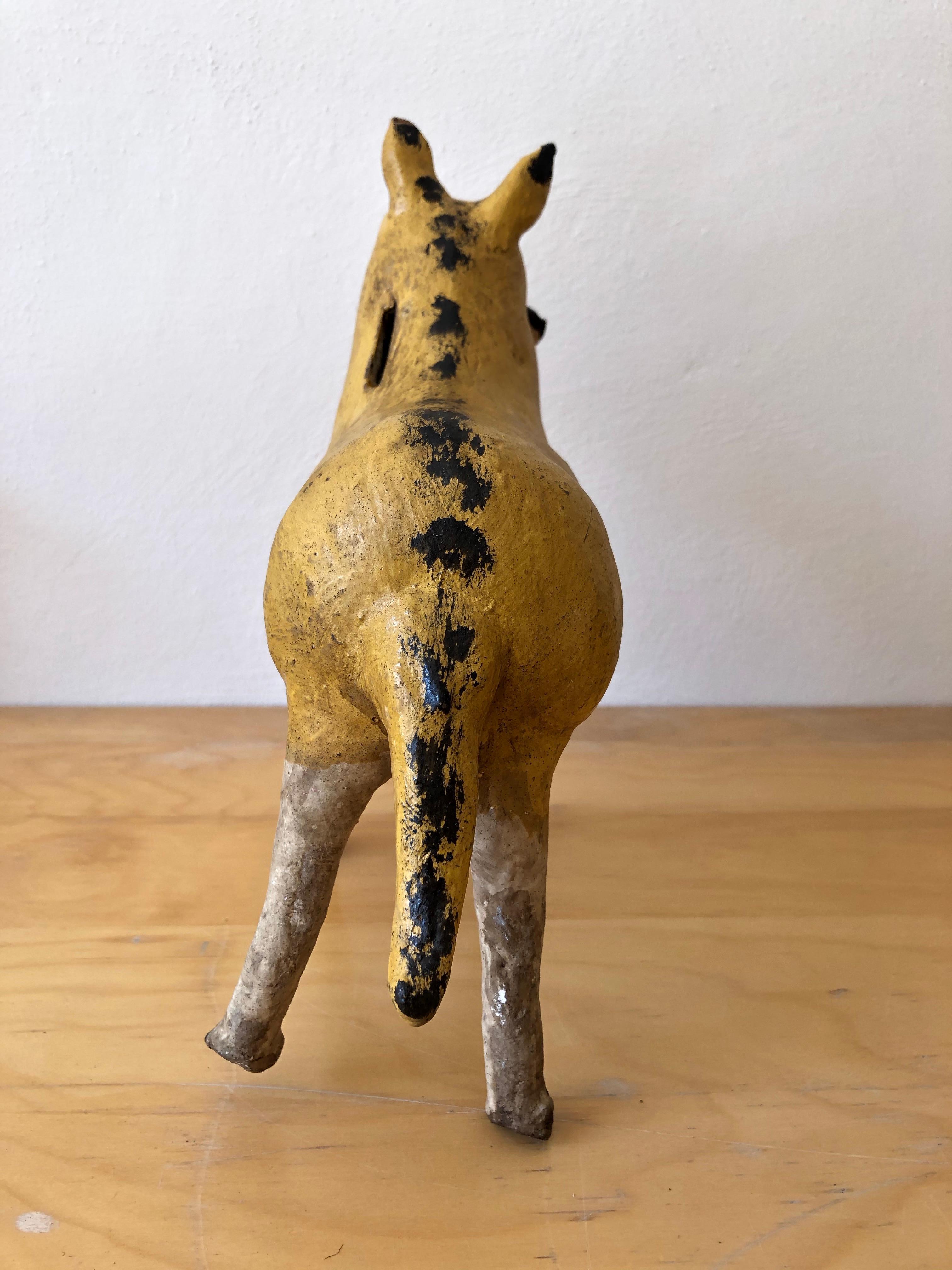 Mexican Ceramic Coyote Piggy Bank from Mexico