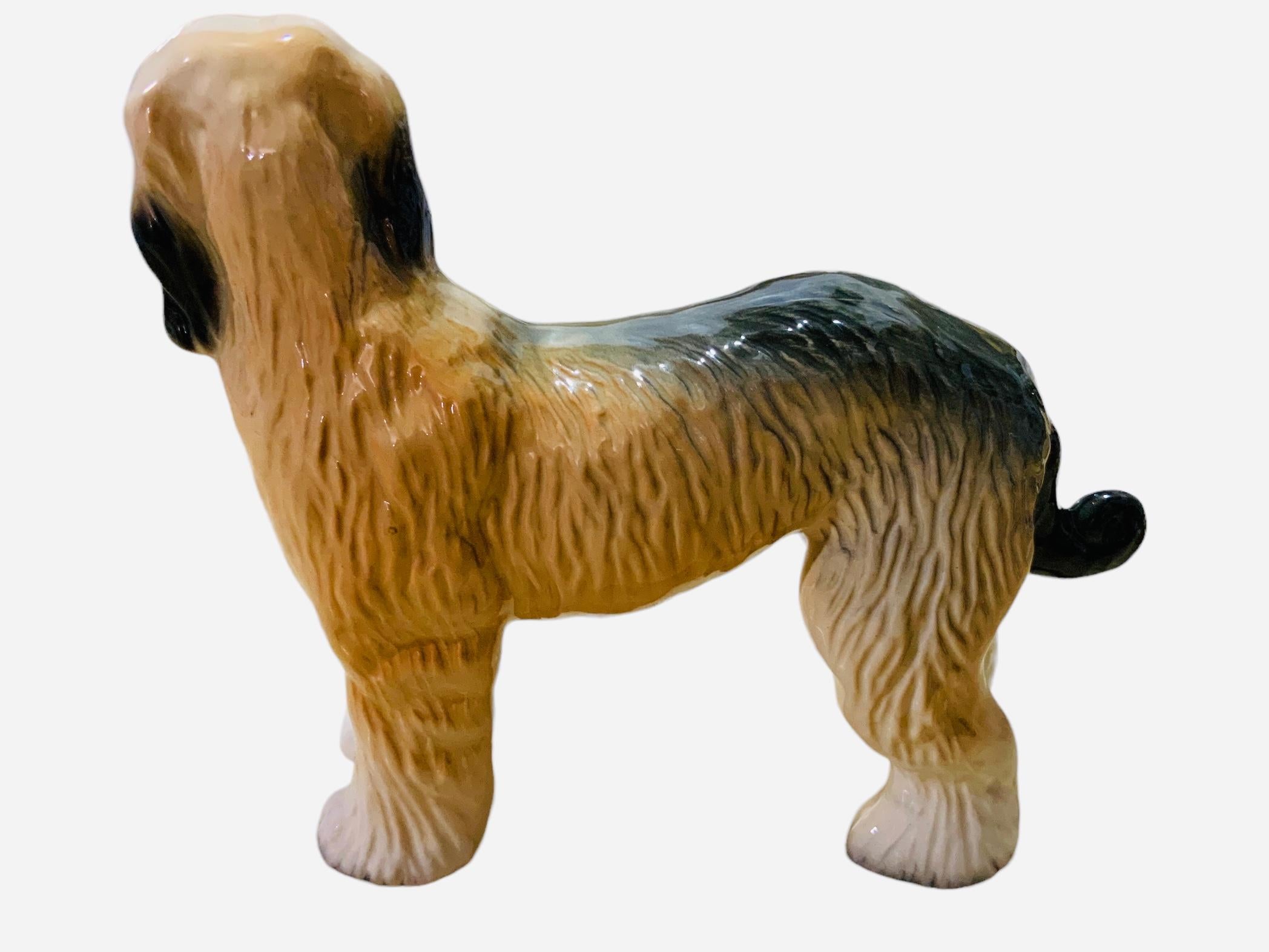 brown afghan hound