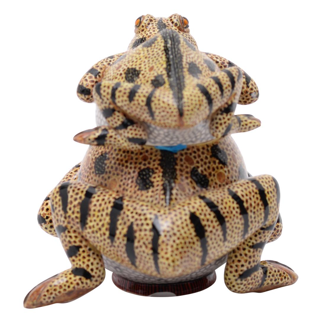 Modern Ceramic  Frog Jewelry  Box  , hand made in South Africa