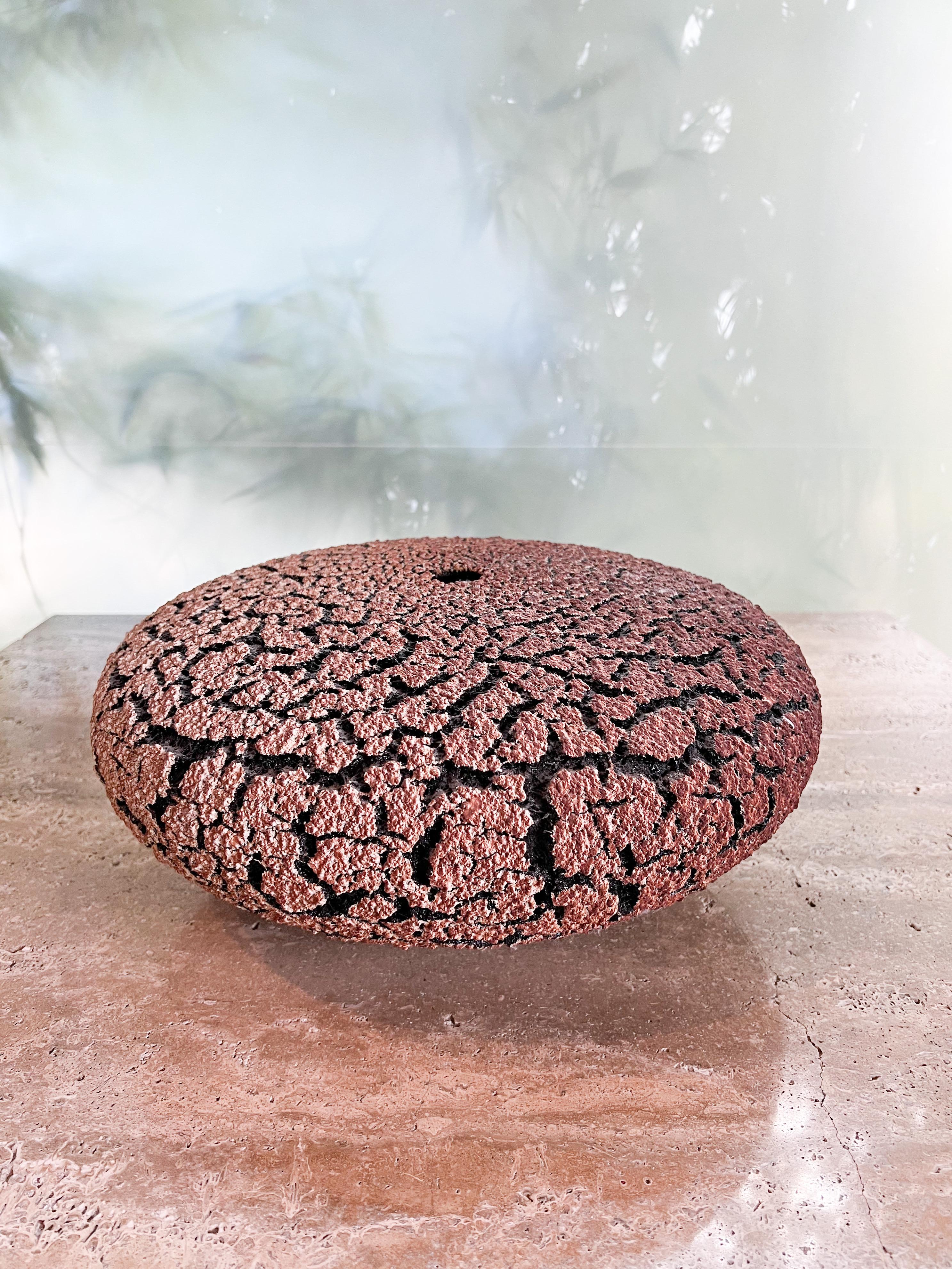 Fired Ceramic Lichen Vase by Randy O'Brien