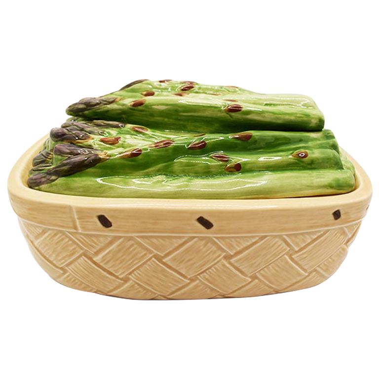 Ceramic Majolica Rectangular Asparagus Serving Dish with Lid, Mexico For Sale