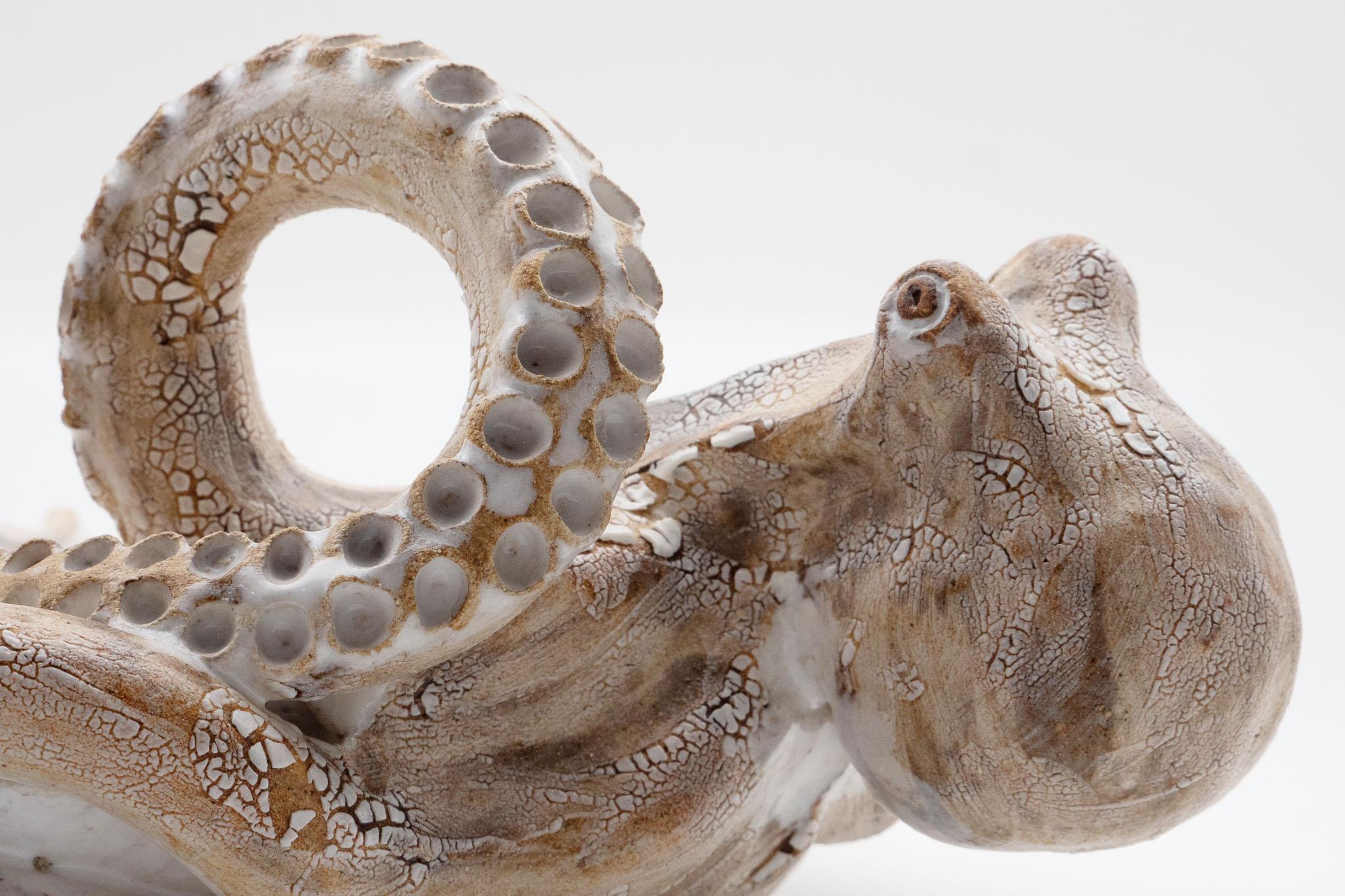 American Ceramic Octopus Serving Platter, Handmade in US