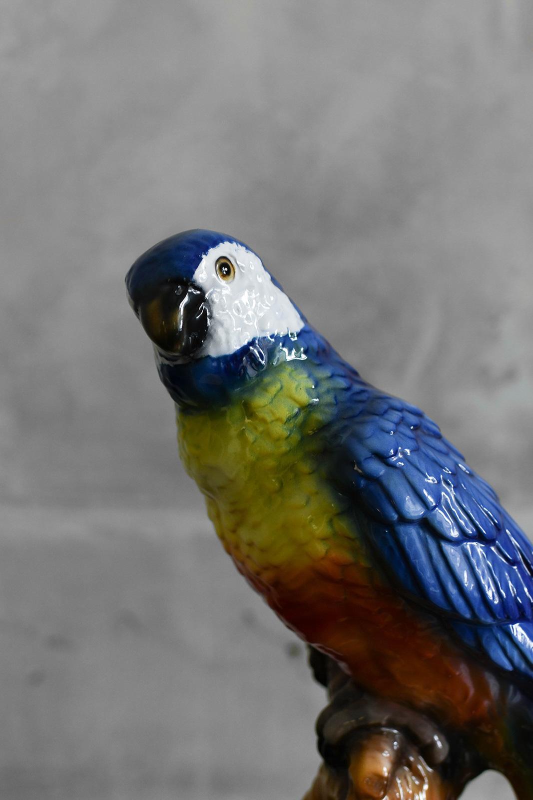 Ceramic Parrot by Ceramiche Boxer, Bassano Del Grappa For Sale 1