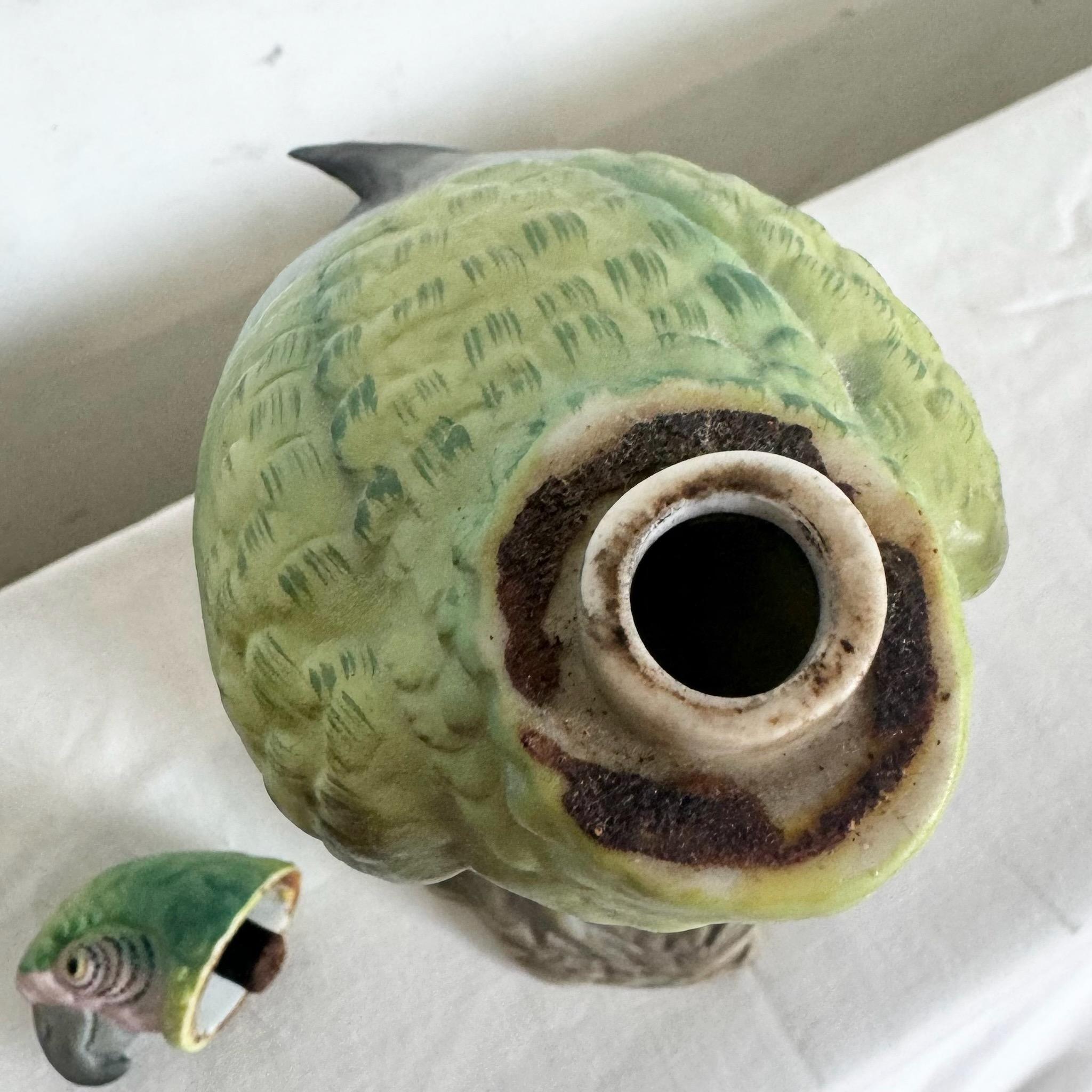 Ceramic Parrot Decmtor/Bottle by Arnart Imports Banfi Productions 4
