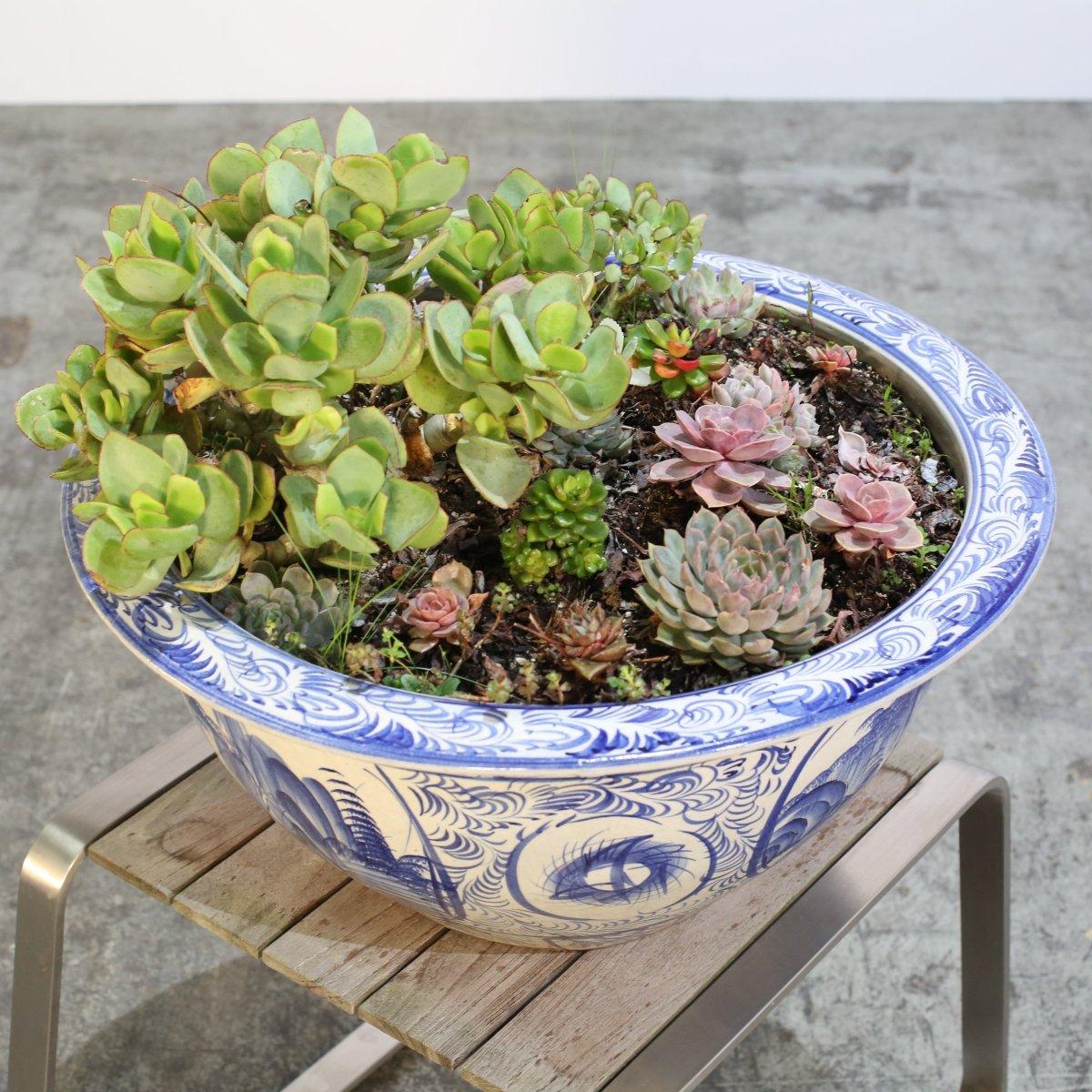 Questo set di fioriere in ceramica con piante grasse è l'aggiunta perfetta a qualsiasi spazio abitativo di lusso. Le ciotole sono realizzate in ceramica di alta qualità e aggiungono un tocco di eleganza all'arredamento della tua casa. Ogni fioriera