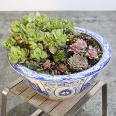 Keramische Pflanzschalen mit Sukkulenten, Zweier-Set