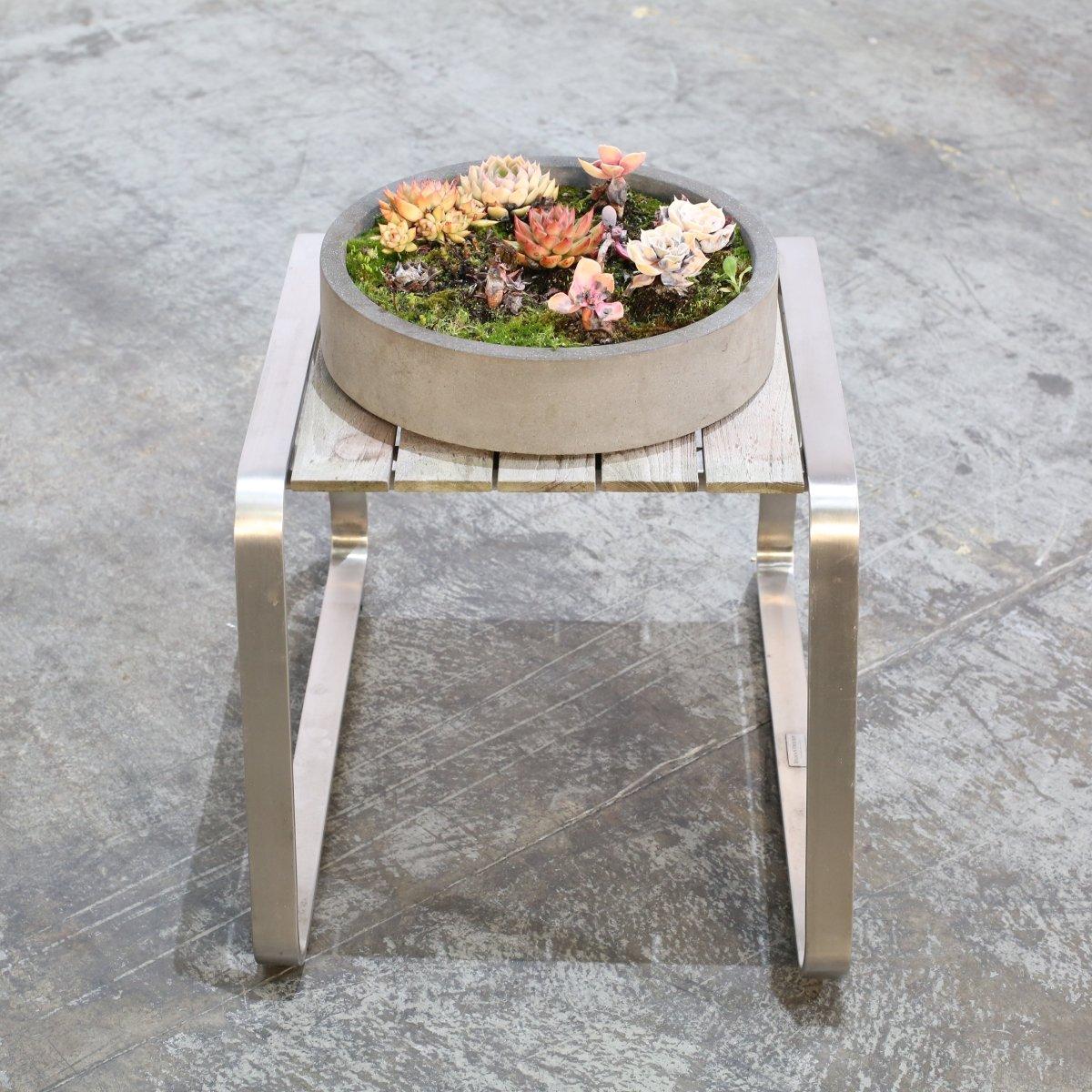 Minimalismo Ciotole per piante in ceramica con succulente, set da due in vendita