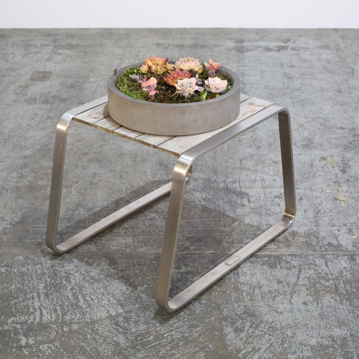 Ciotole per piante in ceramica con succulente, set da due In condizioni buone in vendita a Basildon, London