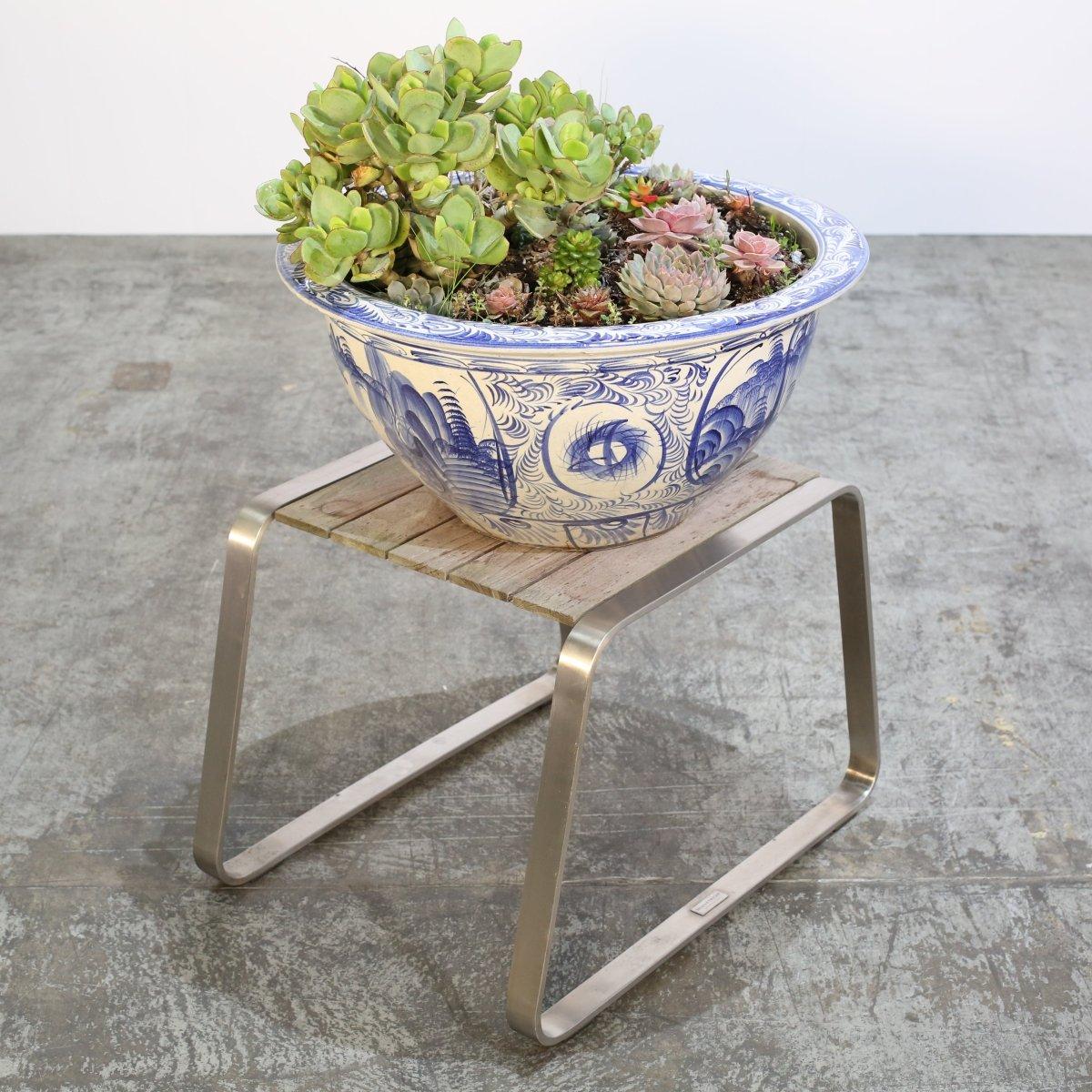 Ciotole per piante in ceramica con succulente, set da due in vendita 1